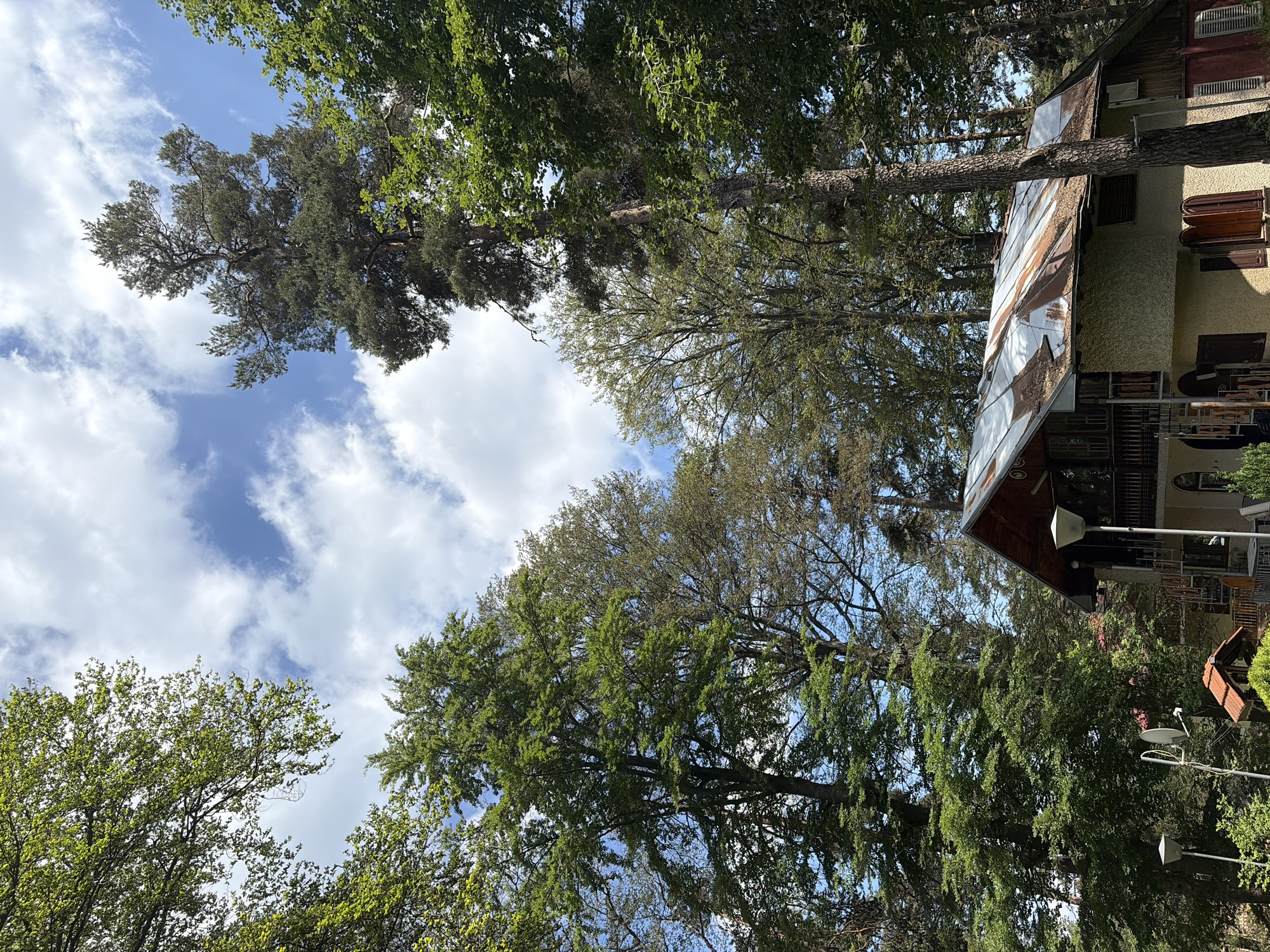 In a wooded area, a two-story house with a metal roof and light-colored walls is visible. The house has multiple windows and a balcony with railings. Several tall trees with green foliage surround the house. A satellite dish is mounted on a pole in front of the house. The sky is blue with scattered white clouds. The scene is under natural daylight.