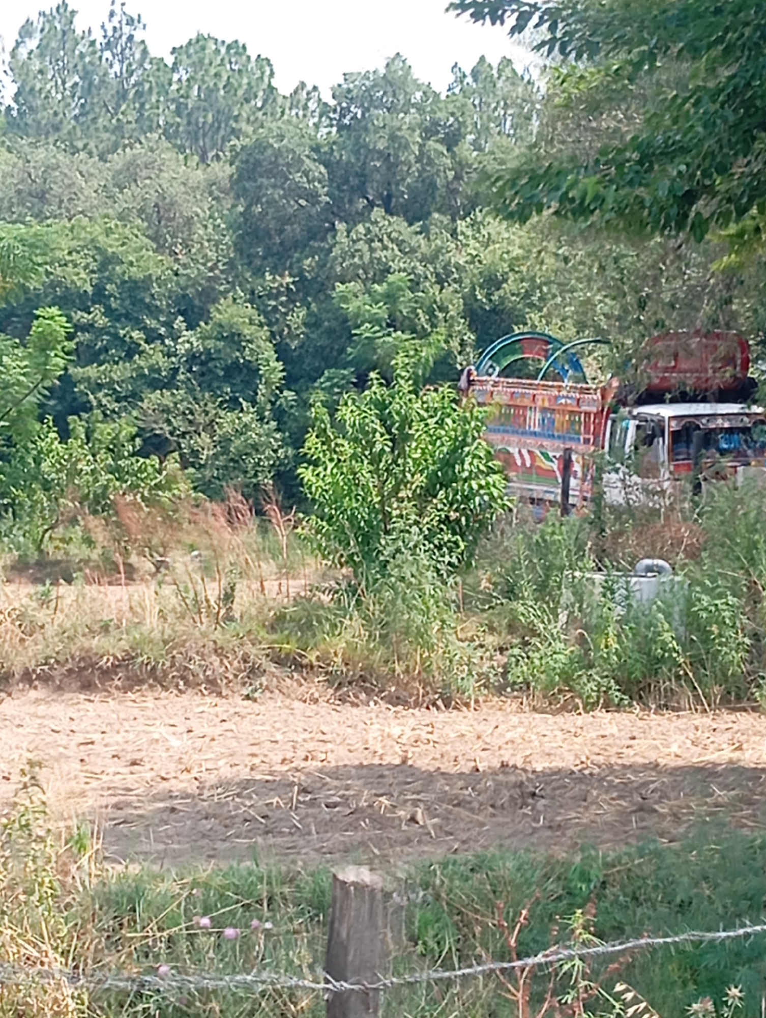 In Hakale, Pakistan, a heavily decorated truck is parked amidst dense vegetation. The truck features a vibrant paint job with colorful patterns adorning its sides and a red cylindrical tank mounted on top. Surrounding the truck is a landscape of overgrown plants and trees, with a dry, cultivated field in the foreground. The scene appears to be in a rural or semi-rural area, possibly a roadside or a storage yard.