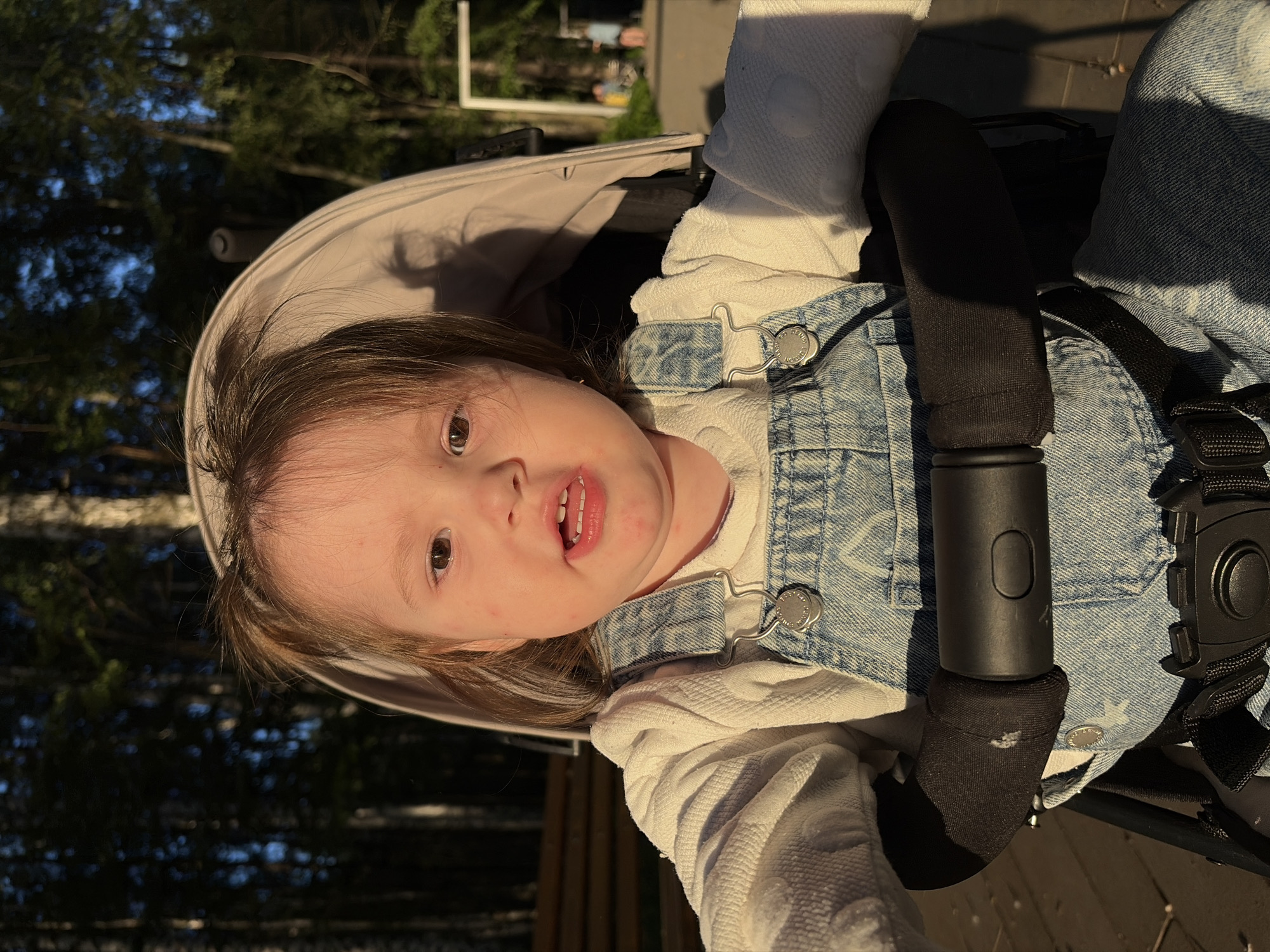 A close-up, frontal, eye-level shot captures a young toddler in a stroller, illuminated by the warm, late afternoon sun. The toddler, with wisps of brown hair, is wearing a white, textured long-sleeved shirt and blue denim overalls. Their mouth is slightly open, revealing small teeth, and their skin has some redness, particularly on the cheeks. In the background, out of focus, are trees, suggesting an outdoor setting, possibly a park. The stroller's black handle bar is visible in the foreground, and a light-colored canopy extends upwards. The overall lighting and shadows indicate the sun is low in the sky, casting long shadows. This scene could be located in Chaikovsky, Russia, in a park or a similar outdoor recreational area during the golden hour.