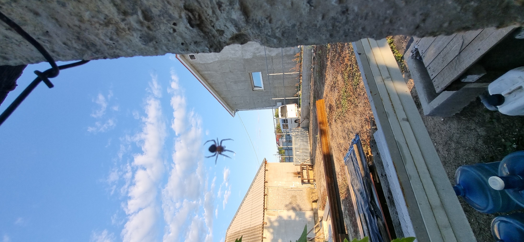A small, dark spider is captured mid-air, its legs splayed, against a bright blue sky with scattered white clouds. The spider is positioned in the upper left quadrant of the image. In the background, two buildings are visible: a smaller, light-colored structure with a corrugated roof on the left, and a larger, gray, two-story building with a pitched roof on the right. Between the buildings, a white picket fence encloses a yard. A white van is parked behind the fence. The foreground is occupied by construction materials, including long metal beams and wooden planks, and several large blue water jugs. The scene appears to be an outdoor yard in a rural or semi-urban setting, likely in Blizhnee, Ukraine, given the context. The lighting suggests it is daytime, possibly late afternoon, due to the angle of the shadows. There are no people visible in the image.
