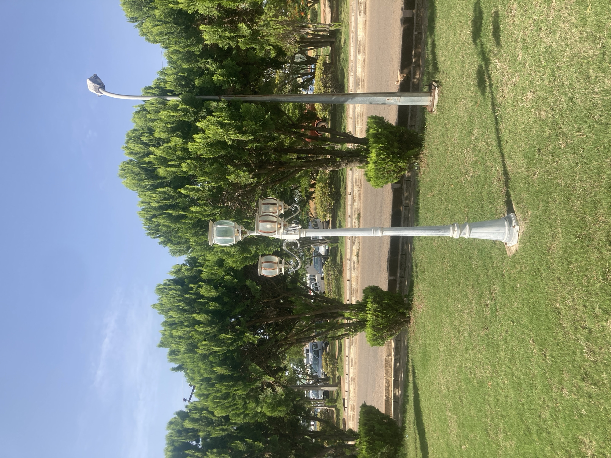 The scene depicts a park or green area adjacent to a road in Gwong, Nigeria. There are trees and manicured grass. Two distinct types of street lights are present: a modern curved street light and a traditional-style lamppost with multiple glass lanterns. Vehicles are parked along the road, suggesting an urban setting. The weather appears to be sunny.