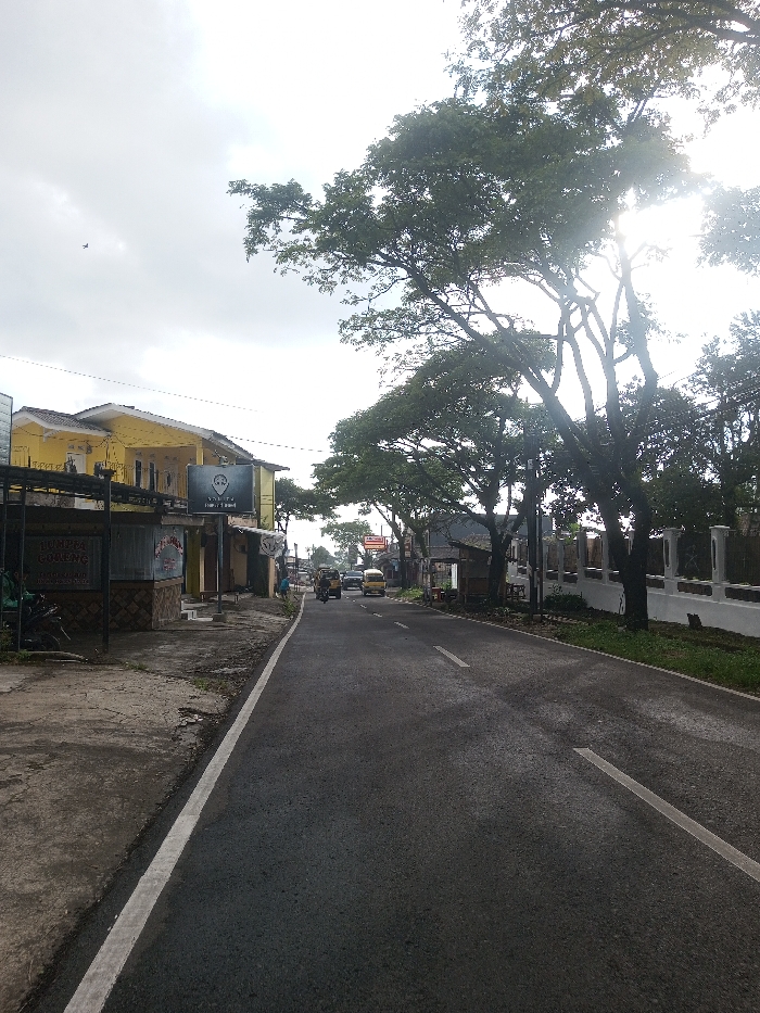 The image depicts a street scene in what is identified as Nuwara Eliya, Sri Lanka, under an overcast sky with bright sunlight filtering through trees.
On the left side of the asphalt road, a concrete sidewalk is present. Adjacent to the sidewalk stands a low, corrugated metal structure with a sign reading "LUMPIA GORENG" in white text on a blue background. Behind this structure is a two-story building painted yellow with a dark roof and multiple windows. A dark billboard with a light-colored, stylized figure (possibly a face or logo) is positioned in front of the yellow building. A dark motorcycle is partially visible parked near the "Lumpia Goreng" stand. In the upper left sky, a single dark bird is in flight.
The two-lane asphalt road extends into the distance, marked by a solid white line on its left edge and broken white lane markers further down. In the mid-ground, three vehicles are visible driving away from the viewer: a three-wheeled auto-rickshaw type vehicle, followed by a yellow van or small bus, and then another light-colored vehicle. No pedestrians are visible on the road or immediate sidewalk.
On the right side of the road, a narrow strip of green grass separates the asphalt from a tall, white-painted wall with dark decorative accents. A line of large, mature trees with dense green foliage and dark trunks runs along this wall. The sun is positioned behind these trees, creating a bright lens flare and silhouetting their branches. Utility poles and overhead wires are discernible within the tree canopy. Further down the road, additional buildings and vegetation are visible on both sides.