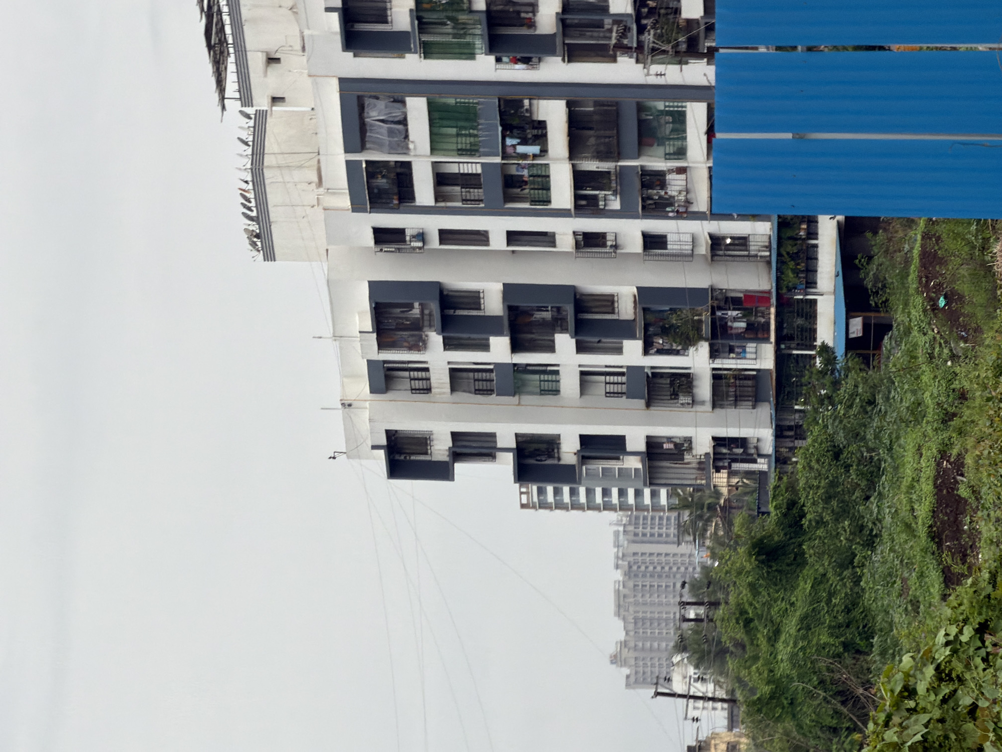 The image depicts a dense urban landscape in Vasai-Virar, India, characterized by multi-story residential buildings and lush vegetation. The foreground is dominated by a thick growth of green bushes and plants, with some patches of soil visible. In the mid-ground, a tall, white apartment building with dark blue accents stands prominently, featuring numerous balconies and windows. Some balconies display laundry hanging out to dry, and potted plants. Behind this building, several other residential structures of varying heights and architectural styles are visible, including a taller, older building with a repetitive, grid-like facade. The sky is overcast, casting a diffused light over the scene. A temporary blue metal barrier is positioned in the right foreground, partially obscuring the lower portion of the apartment building. The overall impression is one of a developing urban area with a mix of modern and older structures, interspersed with pockets of greenery.