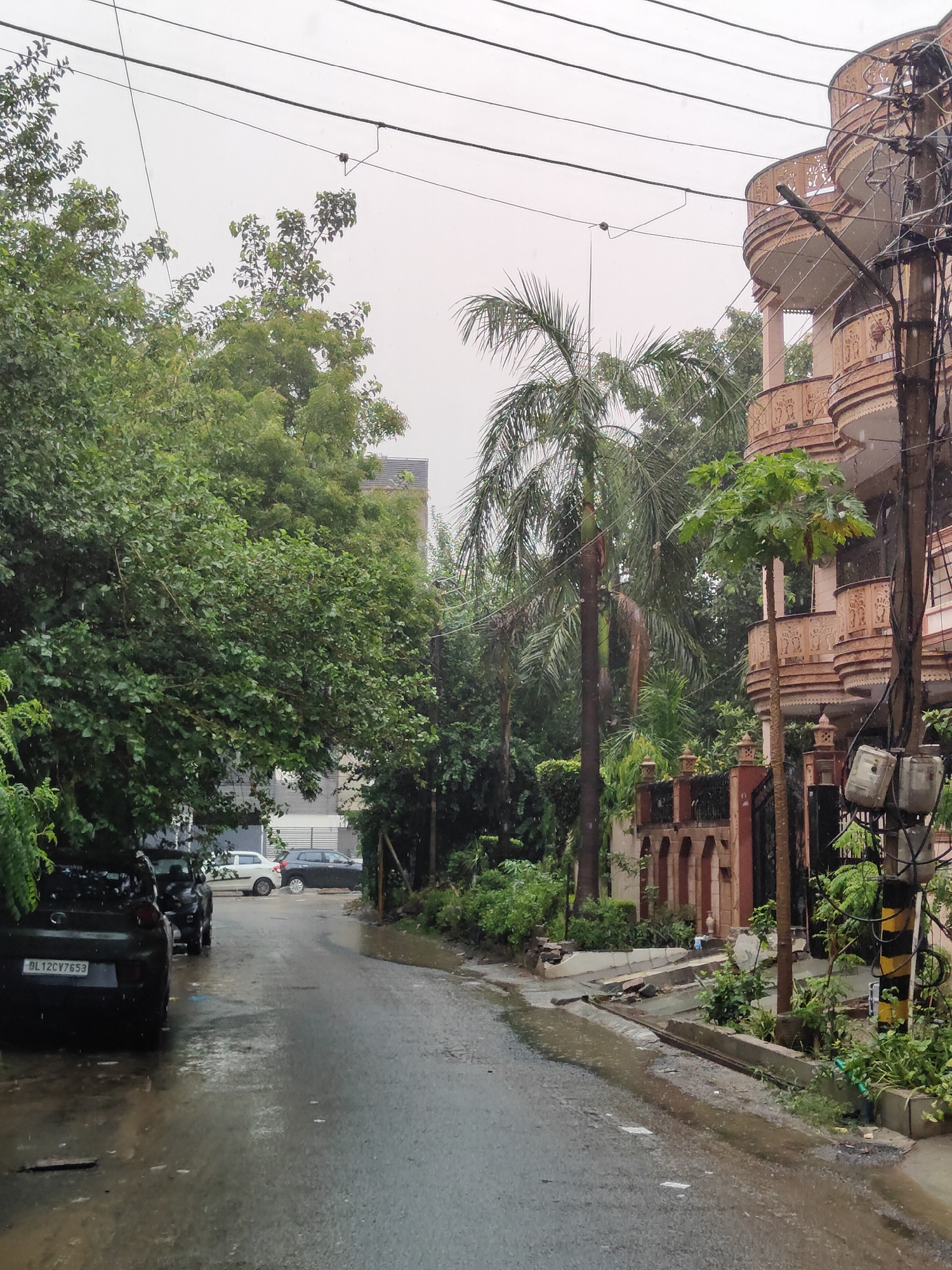 The image depicts a street scene in Gurgaon, India, during rainfall. A wet asphalt road curves through the frame, with puddles and reflections indicating the precipitation. Lush green trees line the left side of the road, their leaves appearing damp. On the right, a multi-story building with decorative balconies and intricate stonework is visible, partially obscured by trees and a utility pole with electrical meters attached. Several cars are parked or driving on the road, including a dark-colored car in the foreground with a license plate that reads "DL12CV7653." In the background, a tall palm tree stands out against the overcast sky. The overall atmosphere is one of a rainy day in a residential urban environment.