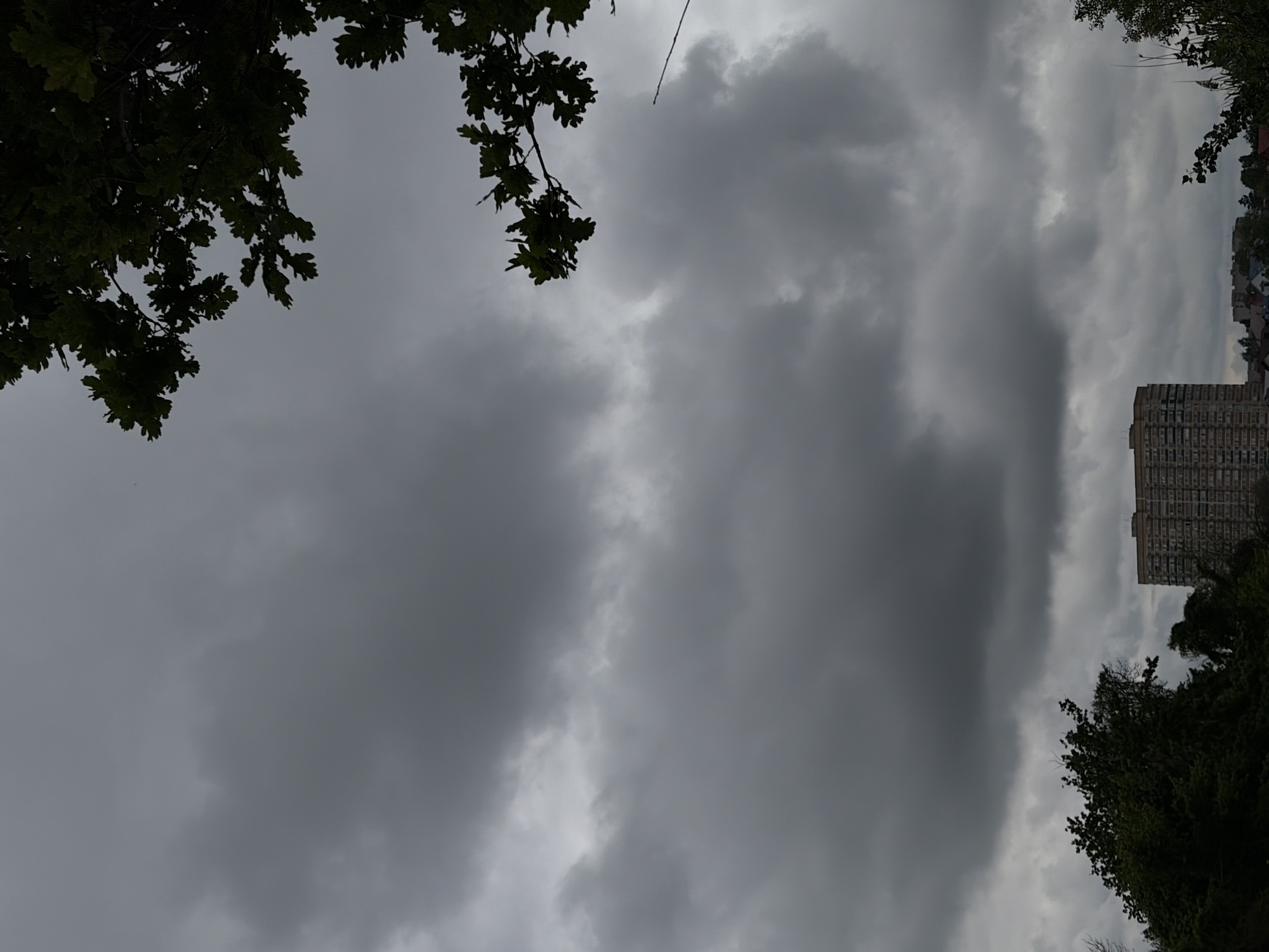 The image presents an overcast sky with heavy clouds. In the top-left corner are tree branches with leaves. In the lower-right, the top portion of a high-rise building can be seen, nestled among more trees. The photograph appears to be taken from a low angle. The scene depicts an urban area in Krasnodar, Russia.
