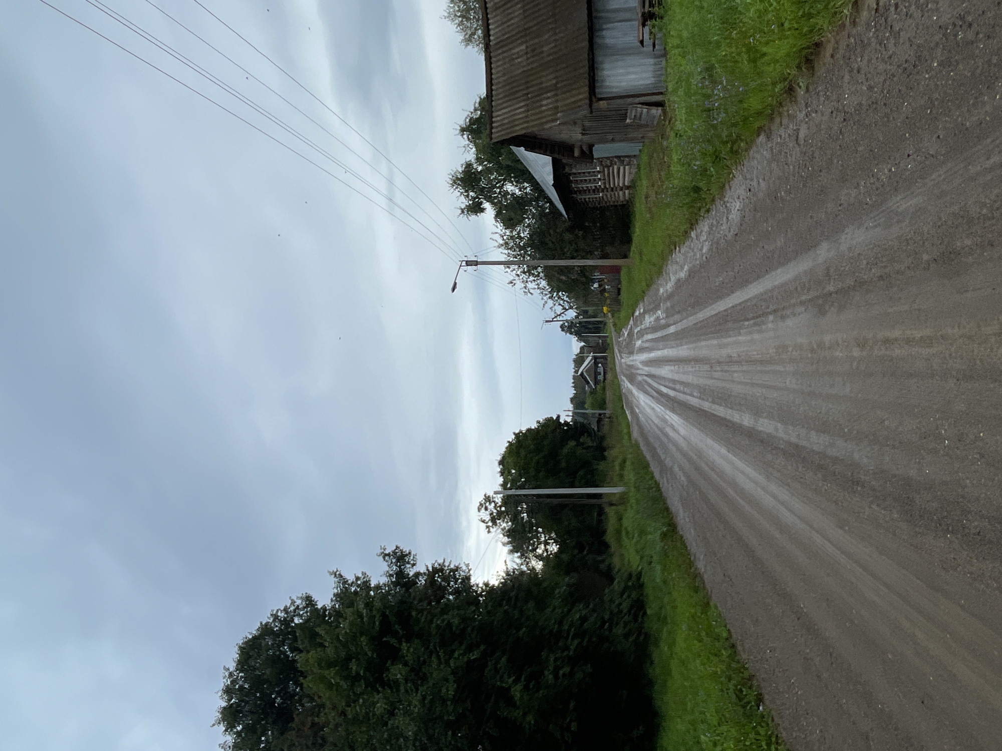 The image depicts a rural dirt road in Panteleevka, Russia, under an overcast sky. The road is wet and appears to have been recently rained on, with visible tracks from vehicles. Lush green grass lines the sides of the road, and several trees are scattered throughout the scene. On the right side of the road, there is a weathered wooden building with a corrugated metal roof, and further down the road, more houses and utility poles are visible. The overall atmosphere is tranquil and characteristic of a Russian village.