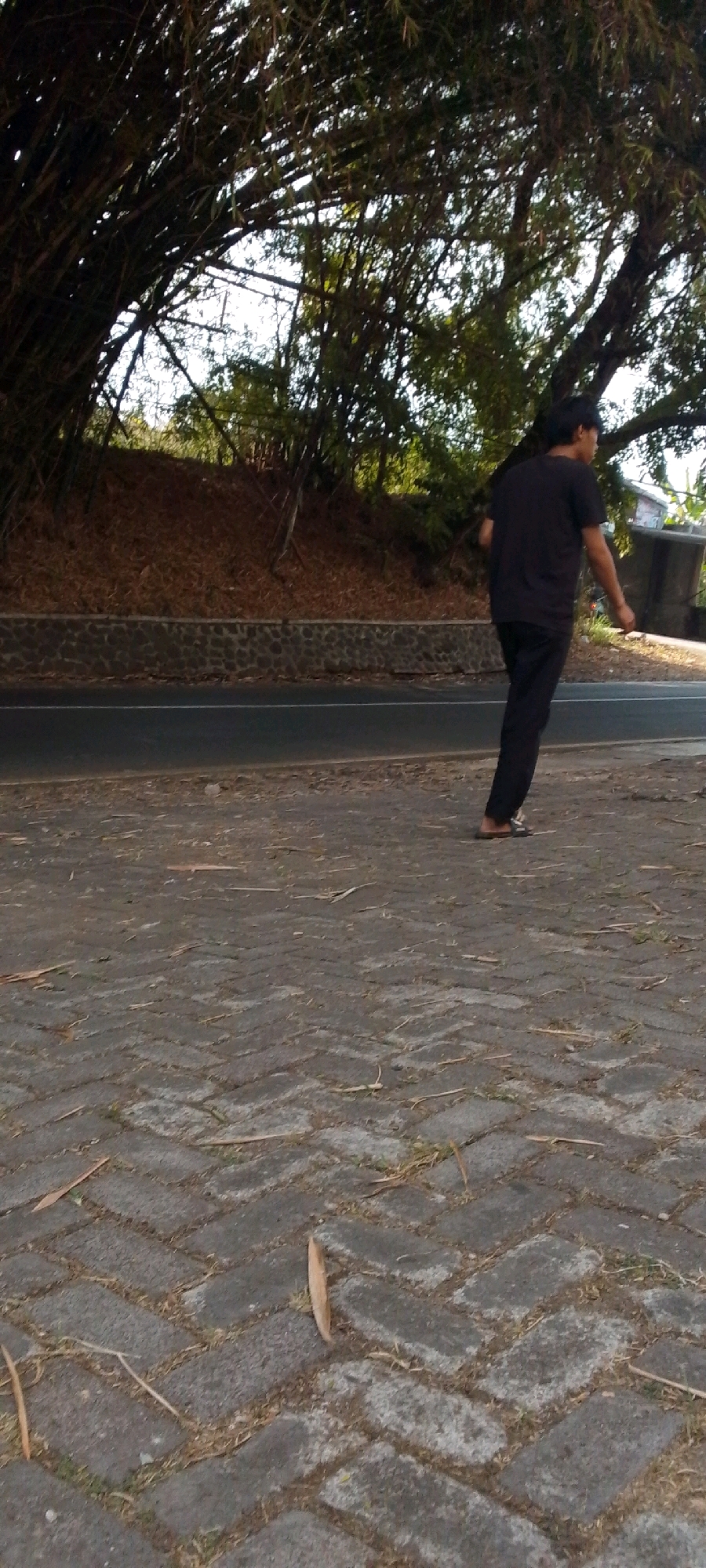 In a street scene in Cilaku, Indonesia, a young man in a black t-shirt and black pants walks along a paved walkway. The walkway is made of interlocking rectangular stones laid in a herringbone pattern, with sparse dry grass and fallen leaves scattered on its surface. To the left of the walkway, a road runs parallel, bordered by a retaining wall constructed of rough-hewn stones. Beyond the wall, a steep embankment is covered in dry brown leaves and vegetation, with a dense canopy of bamboo trees overhead. In the background, to the right of the road, a small building with a white wall and a dark roof is partially visible. The overall lighting suggests it is daytime, with sunlight filtering through the bamboo leaves.