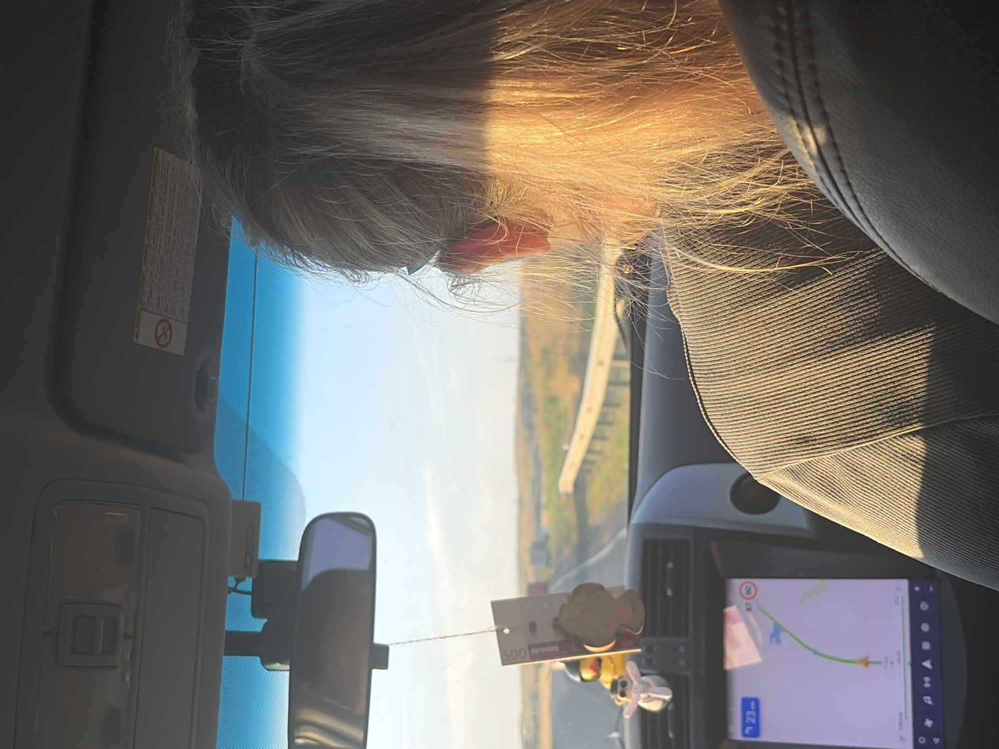 The image shows the interior of a vehicle driving on a highway. The focus is on the back of a person's head and shoulders, whose blonde hair is illuminated by sunlight. In the foreground, there is a car dashboard with a GPS navigation screen displaying a route. Hanging from the rearview mirror is an air freshener and a small ornament. The road ahead is visible, with a guardrail on the right and a flat, open landscape with scattered trees and buildings in the distance. The sky is clear and blue, indicating daytime. The location is identified as Belogorki, Russia.
