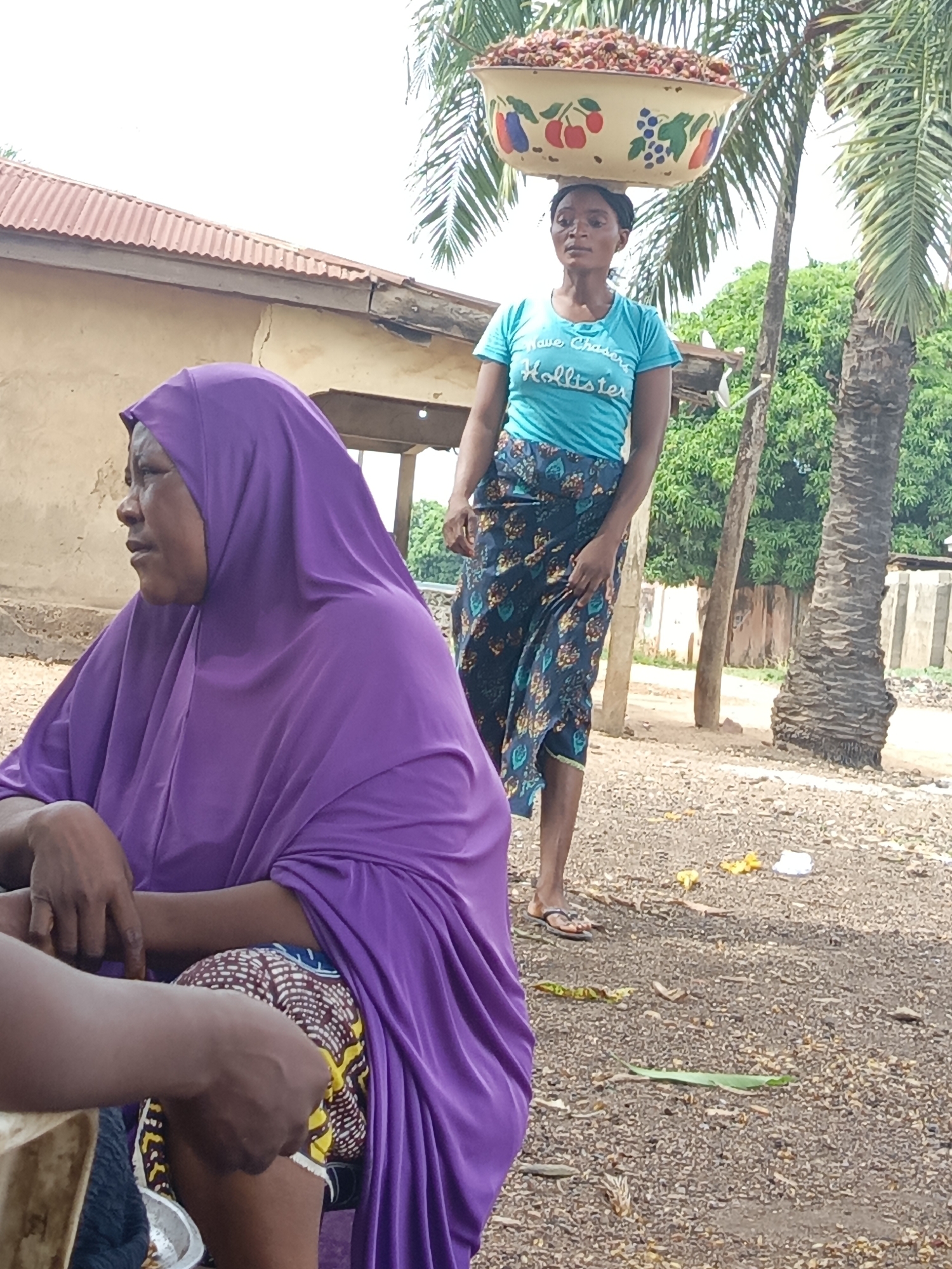 This outdoor image depicts a scene from Akwanga, Nigeria, featuring two women and a natural, somewhat rustic environment.
In the foreground, a woman wearing a vibrant purple hijab is seated, facing left and looking intently in that direction. Her hands are visible, and she appears to be interacting with or observing a partially visible third person whose hands and lower arm are seen on the left. The foreground woman's expression is neutral to slightly contemplative. She is wearing a patterned garment under her hijab, visible around her knees.
In the background, a younger woman stands, carrying a large, fruit-decorated enamel bowl filled with small, reddish-brown items (likely produce or food) balanced on her head. She wears a bright teal t-shirt with "Have Chasers Hollister" printed on it, and a patterned, floor-length skirt. Her feet are clad in flip-flops. Her gaze is directed slightly upwards and to the left, indicating focus on her path or surroundings while balancing the load.
The setting is an unpaved area, likely dirt or gravel, with scattered leaves and debris on the ground. Several large palm trees and other green foliage are visible in the background, suggesting a tropical climate. Behind the head-carrying woman, there is a simple building with a reddish corrugated iron roof and light-colored walls, showing some signs of wear and cracking. The bright, even lighting indicates it is daytime, likely under clear skies. The overall scene captures a moment of daily life and labor in a semi-urban or rural Nigerian context.