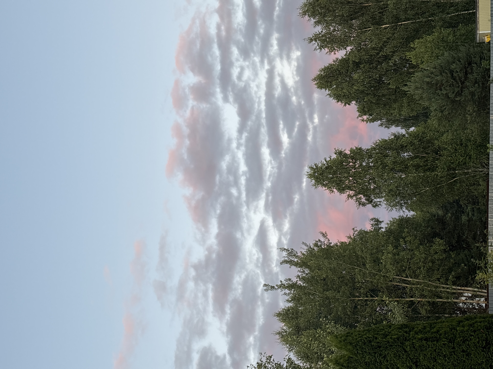 The image depicts a landscape scene with a prominent sky and trees. The sky is a soft blue, transitioning to lighter hues near the horizon. Wispy clouds, tinged with pink and gray, are scattered across the sky, suggesting a sunset or sunrise. Below the sky, a dense line of trees forms the foreground. These trees are a mix of deciduous and coniferous varieties, with lush green foliage. Among the deciduous trees, some have white, slender trunks, possibly birch trees. The overall impression is of a natural, serene environment. The image appears to be taken in an outdoor setting, likely in a rural or suburban area, possibly near Мещёры, Russia, given the mention of the location. There are no people or animals visible in the image. The lighting suggests it is either early morning or late evening.