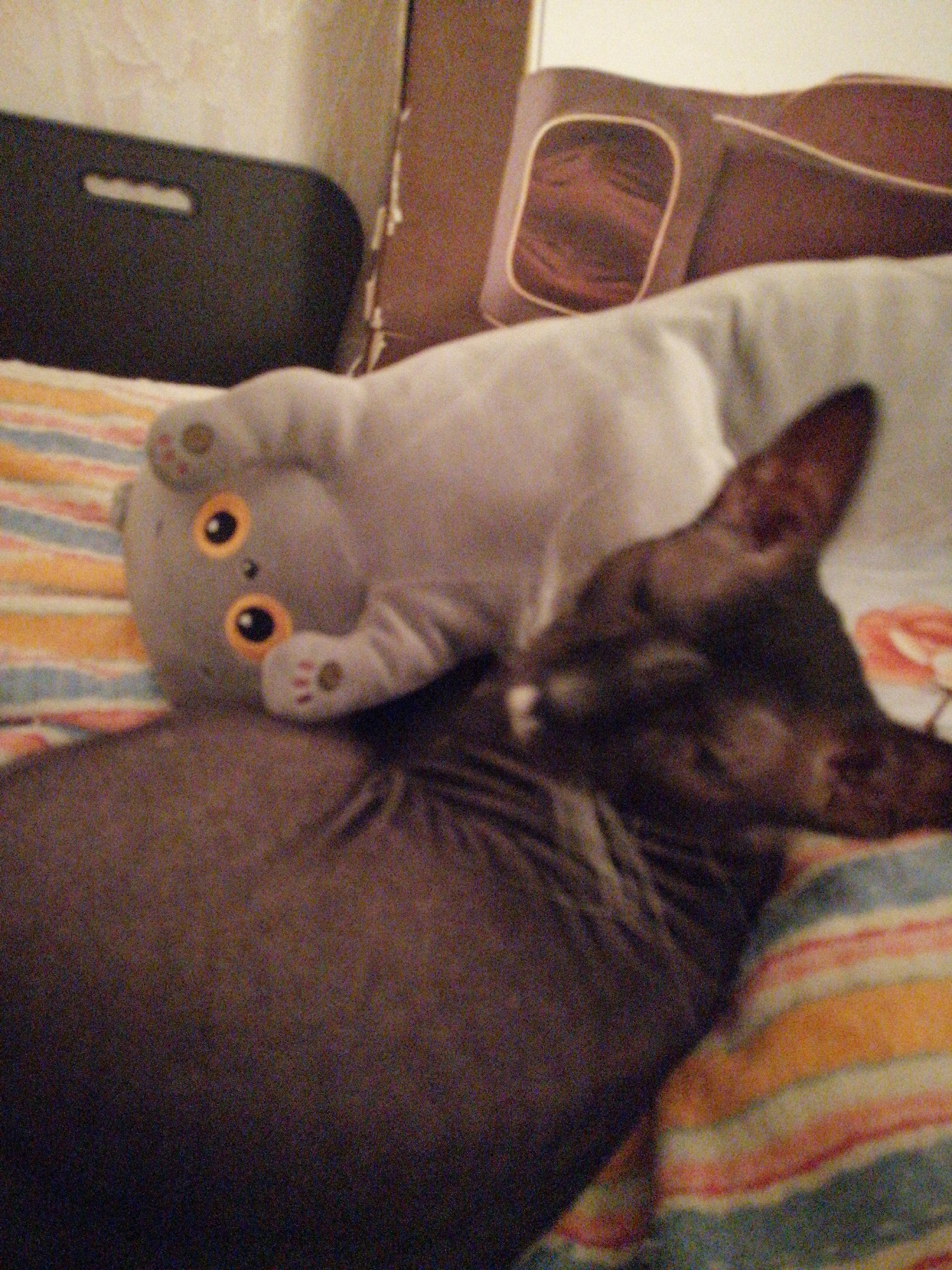 Memory