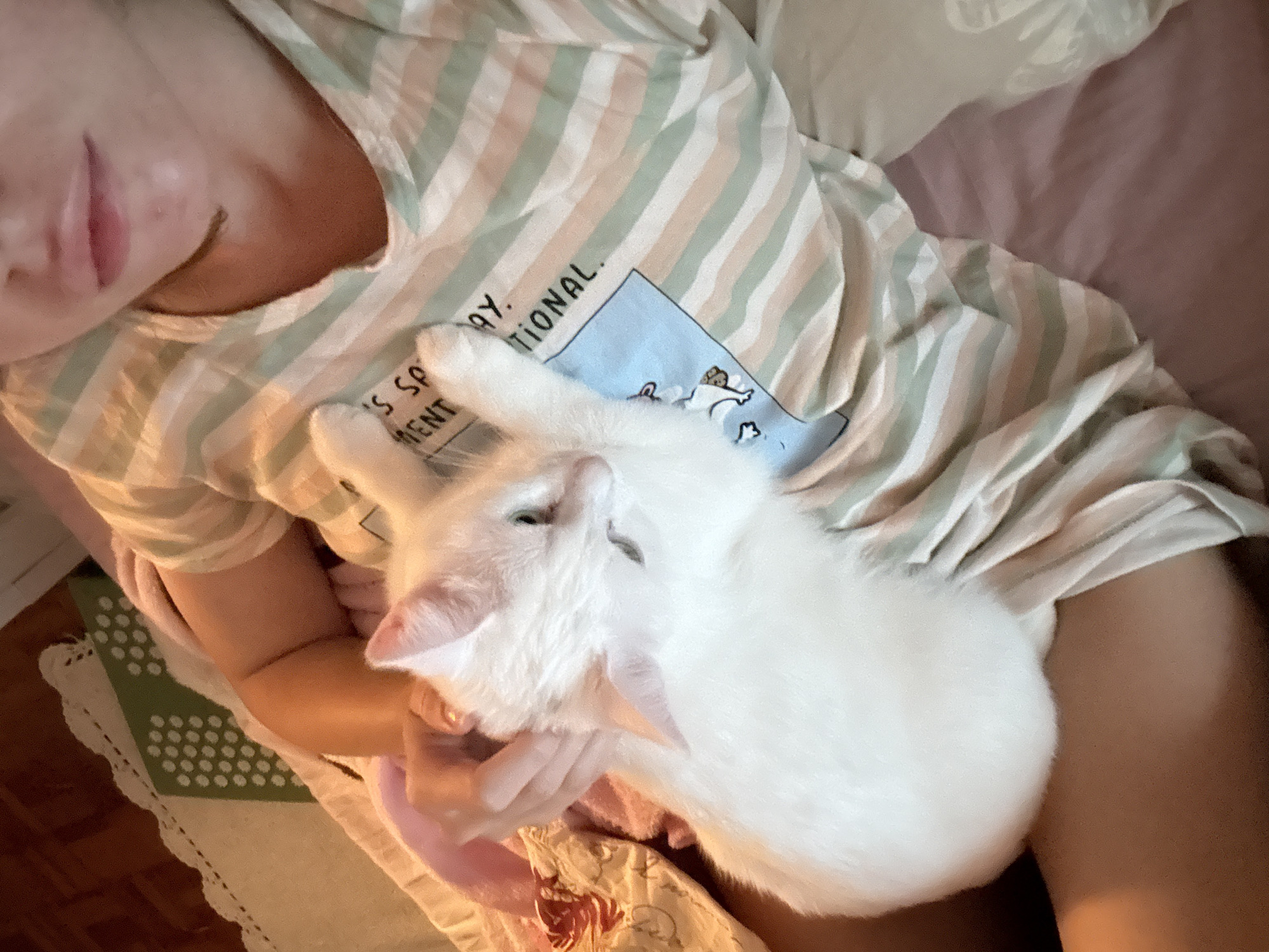 An overhead shot shows a person's torso and legs from the waist down, with a white cat nestled in their lap. The person is wearing a horizontally striped t-shirt in muted green, peach, and white. The cat, also white, is curled up, with its head resting on the person's chest and a paw extended. The person's hand is visible, gently stroking the cat's head. The background consists of a pink blanket or bedspread and a sliver of a wooden surface. The scene appears to be indoors, likely in a home setting.
