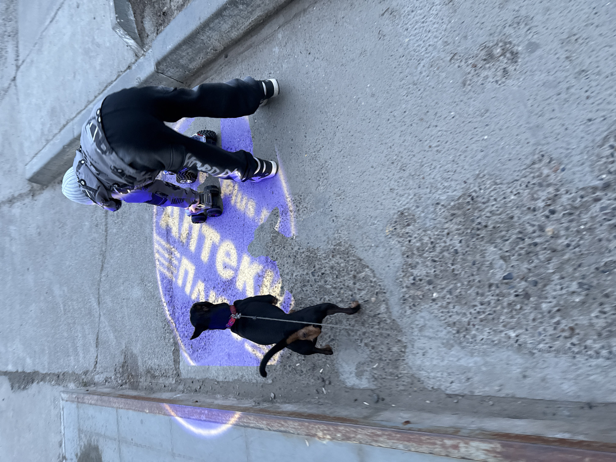 A high-angle shot captures a person and a dog on a concrete surface, potentially a sidewalk, in what is likely the city of Chaikovsky, Russia, based on a partial inscription in Cyrillic that reads "АПТЕК" (APTEK), which could be related to a pharmacy or drugstore. The person, dressed in dark clothing with light-colored accents and a beanie, is bent over and appears to be operating or interacting with a toy vehicle with large tires. This vehicle is positioned over a faded, circular image that features the Cyrillic text mentioned above. A black dog, leashed to the person, stands partially within the circle of text and to the left of the toy vehicle. The concrete surface shows signs of wear and is bordered by a raised concrete edge or step. The lighting suggests it is daytime, casting distinct shadows.