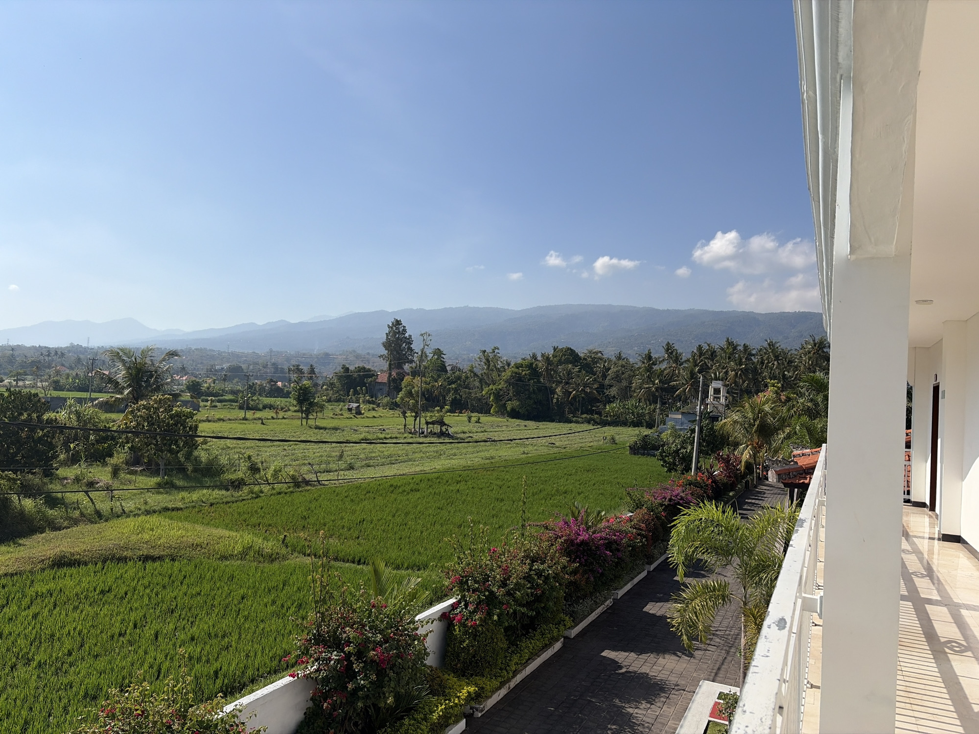 The image depicts a bright, sunny day with a clear blue sky. In the foreground, to the right, is a white building with a balcony or walkway. The building's white railing is visible, and sunlight casts shadows on the tiled floor. Beyond the railing, a path paved with square tiles leads into the scene, bordered by lush green plants and vibrant pink and purple flowers. Further back, a field of vibrant green rice paddies stretches out, divided by earthen borders. In the middle ground, scattered trees and a small, rustic hut can be seen amidst the greenery. The background features rolling hills covered in dense vegetation, likely palm trees, and in the far distance, hazy mountains under a clear sky. A few wispy clouds dot the sky. The scene is characteristic of a tropical rural setting, possibly within the city of Banjar, Indonesia, given the lush vegetation and agricultural landscape. There are no people visible in the image.