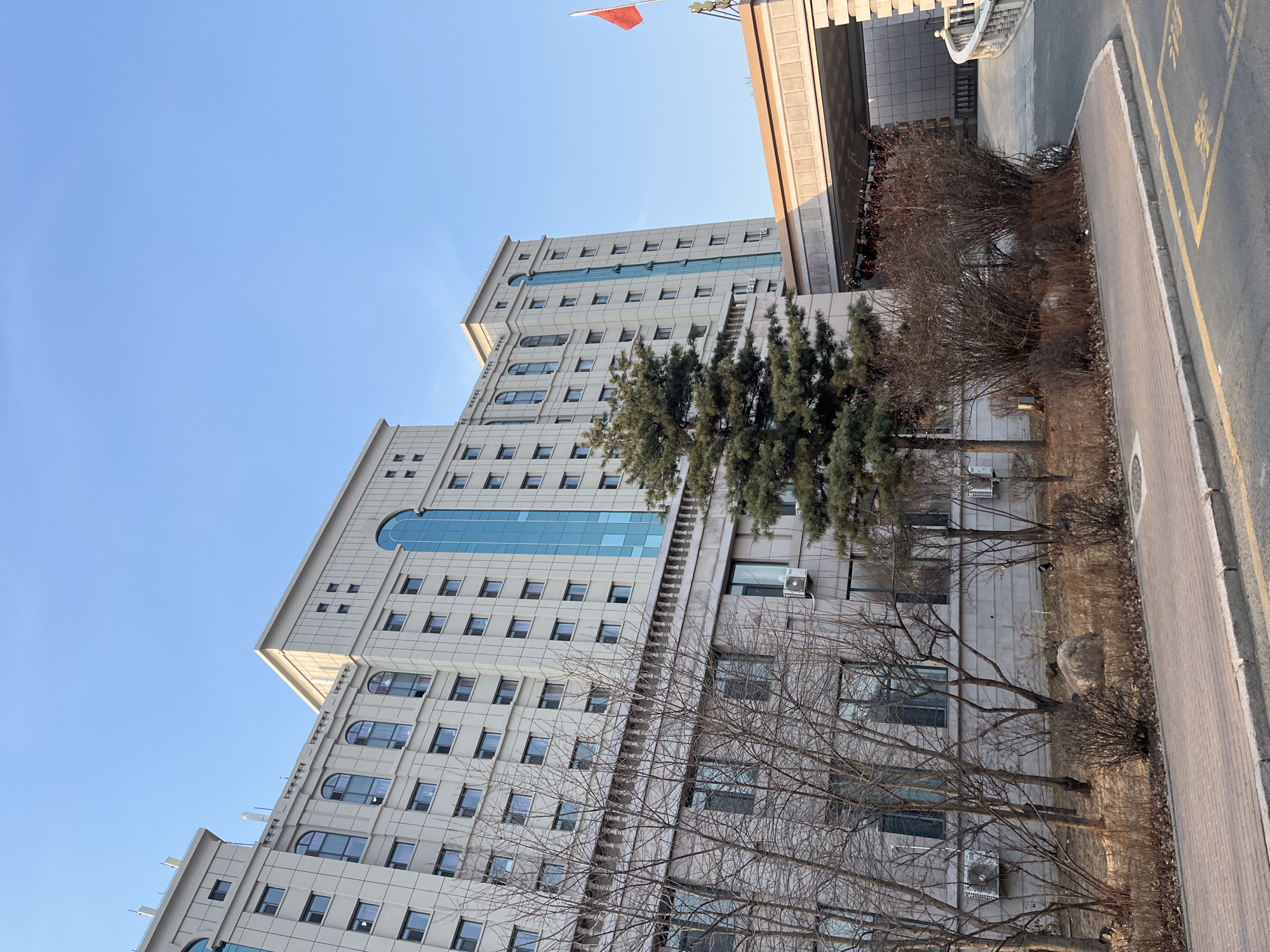 The image displays the exterior of the Changchun Municipal Government Building in Changchun City, Jilin Province, China, under a clear blue sky. The main structure is a multi-story building with a light-colored, possibly stone or concrete, facade featuring numerous rectangular windows. Several prominent vertical sections incorporate blue-tinted glass, with some windows exhibiting arched tops. A lower section of the building has multiple external air conditioning units mounted on its exterior walls.
In the foreground, a reddish-brown brick sidewalk borders an asphalt road marked with yellow lines. Between the sidewalk and the building, a landscaped area contains a mixture of bare deciduous trees and dense evergreen shrubs, indicative of late autumn or winter. A prominent, mature evergreen tree, likely a pine, stands centrally within this vegetation. A large, irregular grey rock is also visible among the bushes. To the right, an elevated, covered pedestrian walkway or entrance structure extends from the main building. A red national flag, presumably the flag of China, flies from a flagpole positioned atop this walkway structure. No individuals or active events are discernible within the frame.