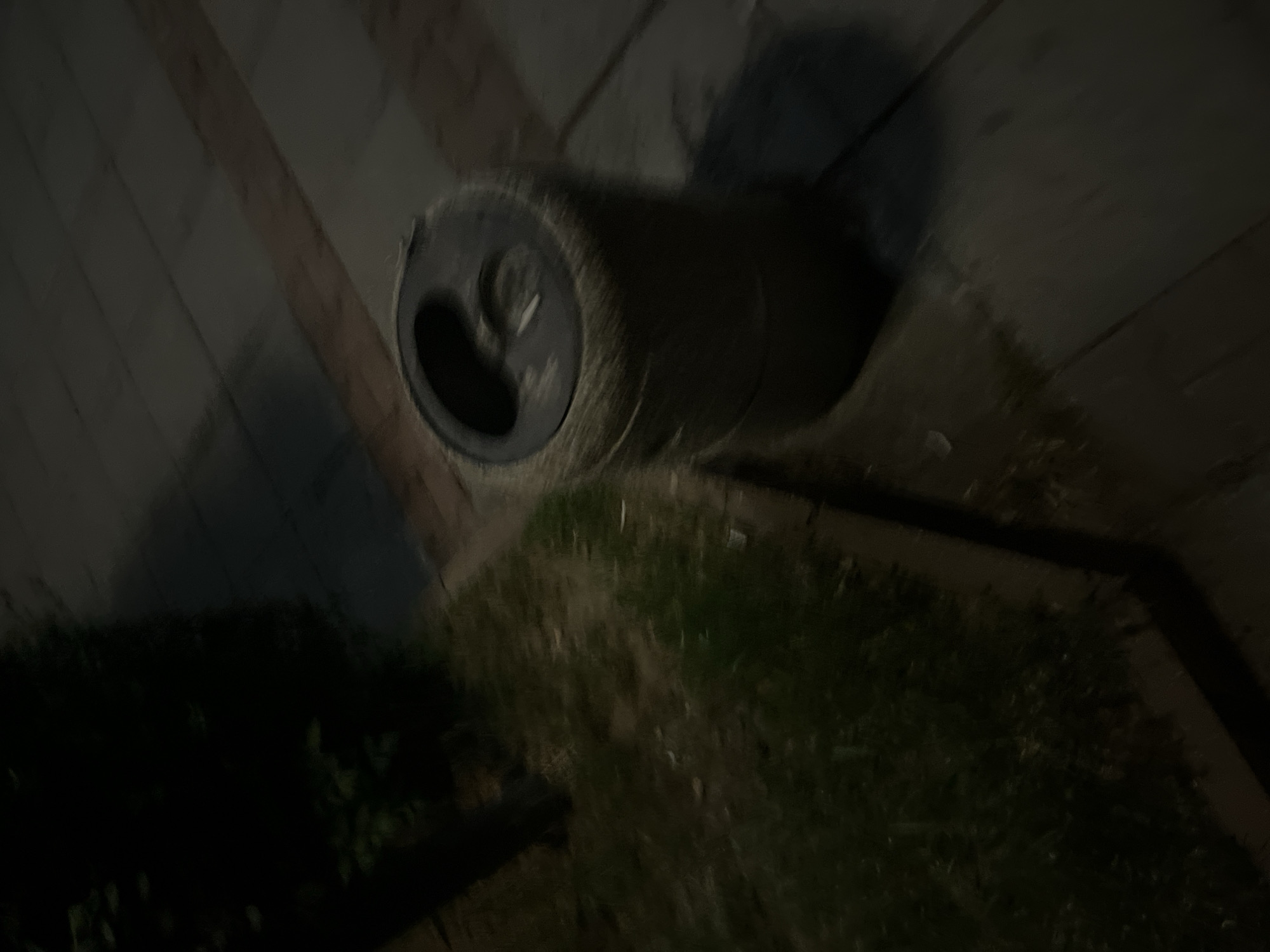 An eye-level, high-angle, close-up shot shows a used, empty aluminum can on its side in the city of Blagoevgrad, Bulgaria. The can is oriented horizontally, with the top facing the viewer. The tab is missing, and the opening is visible. The can's surface is dirty and discolored. The can lies on a patch of dry grass and weeds, near a dark green bush to the left. A sidewalk runs diagonally from the upper left to the center of the image. The scene appears to be dimly lit, with the can's shadow cast to the right.