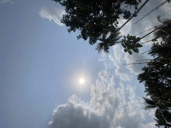 The image depicts an upward-looking view of the sky and tree canopies in Ikot Ete Ekpo, Nigeria, on a bright day. The sky is predominantly light blue, transitioning to a deeper blue in the upper right. A brilliant, circular sun is centered in the upper-left quadrant, emitting a visible halo. Scattered white and grey cumulus clouds are present, with denser formations in the upper left. Various trees are silhouetted against the sky, occupying the lower and left portions of the frame. These include several tall, slender trees consistent with palm trees, recognizable by their distinctive fronds, and other dense, leafy trees. A few bare, bamboo-like stalks also extend upwards from the lower left. There are no visible people or discernible actions or interactions in the scene.