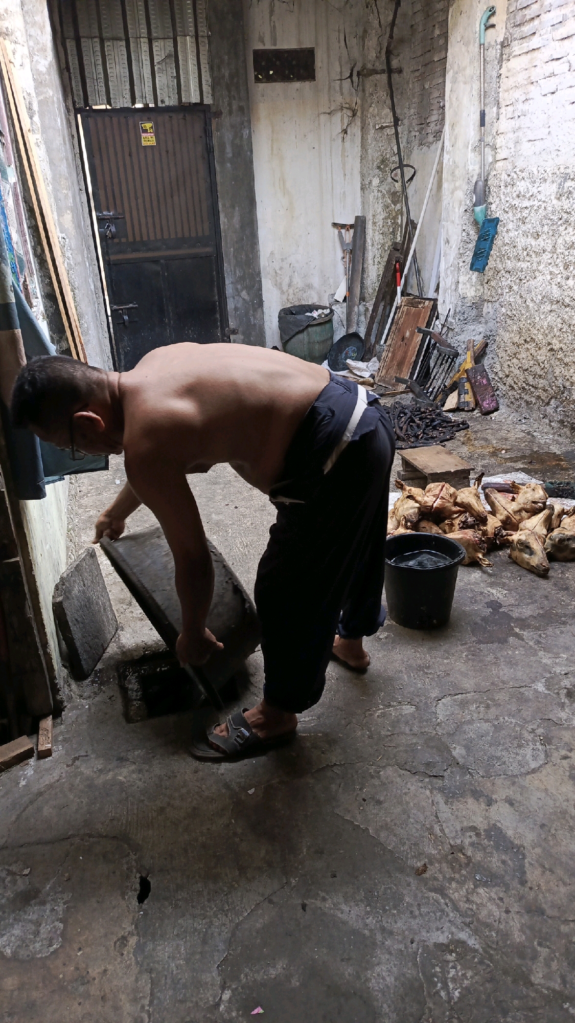 The image depicts a man, shirtless and wearing dark trousers and sandals, bending over a large, flat stone slab in an outdoor setting. He is actively engaged in some task involving the slab. The environment appears to be a somewhat disheveled yard or alleyway. To the right of the man, a pile of animal heads, possibly goats, are visible, along with a black bucket. Various tools and debris are scattered around the scene, including a broom and what appears to be wooden planks. In the background, a dark metal door with vertical slats is prominent, suggesting a building or enclosed area. The ground is a rough, concrete surface. The scene is consistent with a butchery or processing area, potentially located in a more rural or informal part of Pekauman Kulon, Indonesia, given the visible elements of the environment.