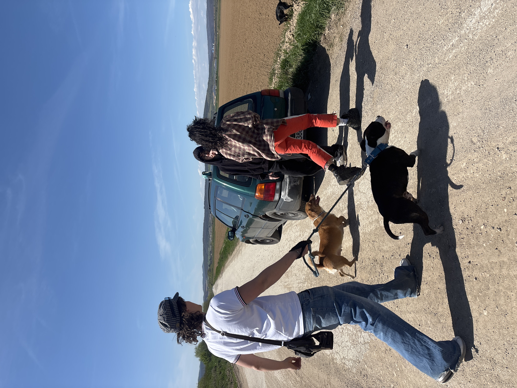 The image depicts a group of people and dogs on a dirt road. A green car is parked on the side of the road. Two individuals are leaning against the back of the car. One person is wearing a brown plaid shirt and orange pants. Another person stands near the back of the car wearing a black hooded jacket. A third person is walking three dogs on leashes. One dog is brown, one is black and white, and one is black. The location appears to be near a field with greenery in the distance, suggestive of a rural or semi-rural environment. Based on information from the image itself, it's not possible to confirm that the location is in the city of Zhivkovo, Bulgaria.