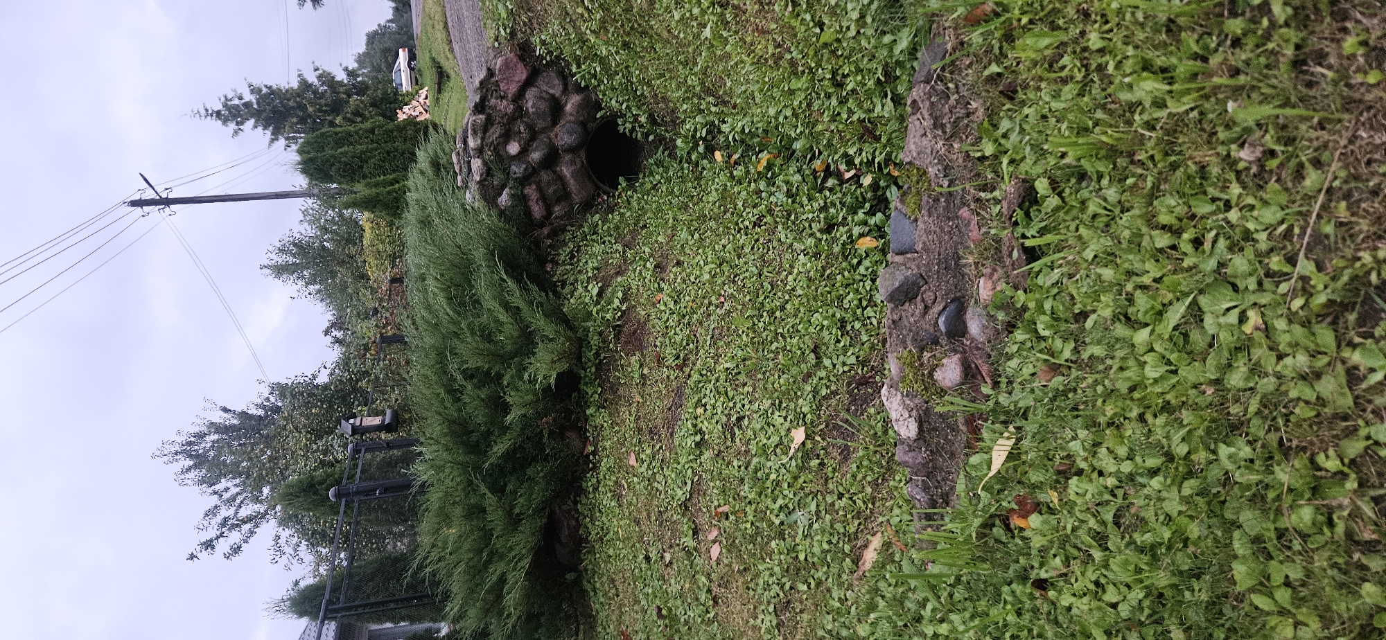 The image shows a drainpipe covered with stones, surrounded by lush green grass and low-lying plants. A large, dense evergreen bush arches over the drainpipe. In the background, a black metal fence with decorative finials runs horizontally. Beyond the fence, various trees and shrubs are visible, including a tall cypress tree. Power lines and a utility pole are present in the upper right corner of the frame, with a car parked in the distance. The scene is set on a cloudy day, suggesting a damp or recent rainfall. The location is identified as Liozna, Belarus.