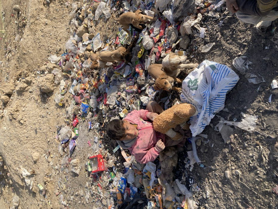 In Quetta City Tehsil, Pakistan, a young male child, approximately 5-8 years old, is seated directly on a large accumulation of mixed refuse outdoors. He wears a pink hooded sweatshirt with a zipper and dark-colored pants. He holds a light brown, possibly plush, toy in his lap. Adjacent to the child's right, a white and blue striped woven plastic bag lies on the ground. Scattered around the child and throughout the extensive trash pile are approximately five to six light brown puppies. Some puppies are standing and walking among the debris, while others are less distinct within the trash. The ground surface is entirely covered with various types of waste, including plastic bags, wrappers, cardboard boxes, and general refuse. In the background, a large, barren mound of light brown earth or sand is visible. A portion of another person's leg and lower clothing is visible in the bottom right corner of the frame. The scene is illuminated by natural daylight.