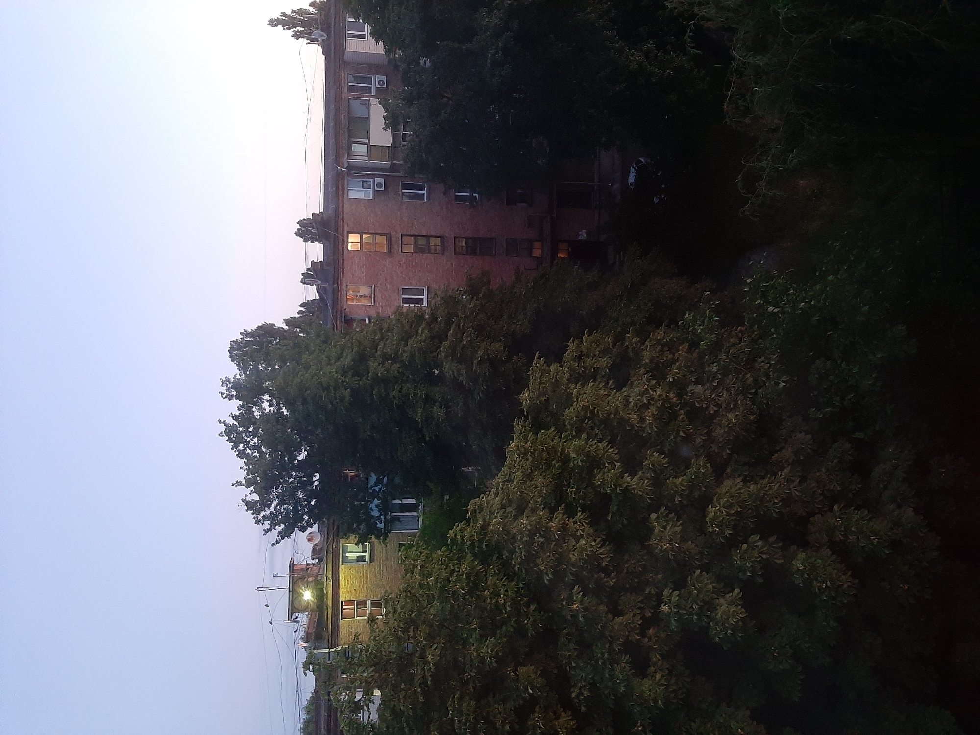 An exterior, eye-level, wide shot captures a brick apartment building partially obscured by trees during twilight. The sky is a pale, gradient blue, transitioning to a lighter shade towards the horizon. The building, constructed from reddish-brown bricks, features multiple windows, some of which are illuminated with warm, yellow light. Several windows are dark. Air conditioning units are visible on some of the apartment walls. The roof of the building has several satellite dishes and what appear to be chimneys or ventilation pipes.
In the foreground and to the left, a large, dense tree with dark green foliage dominates the lower left portion of the frame. Another large tree with lighter green leaves is positioned behind and to the right of the first tree, partially obscuring the middle section of the building. To the right of the building, more dark green trees are visible, creating a sense of depth. The overall impression is of a residential area in a city during the early evening. A car is partially visible in the dark area at the bottom of the frame, between the trees.