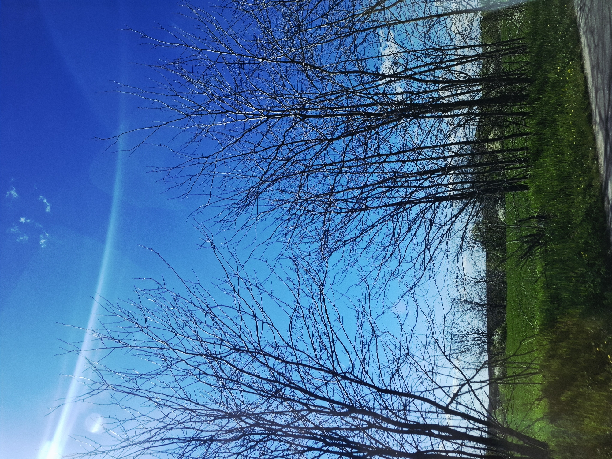A low-angle view showcases a landscape with a vibrant blue sky contrasting sharply with silhouetted, leafless trees. A radiant burst of sunlight emanates from the lower left corner of the frame. To the right, a verdant field borders the tree line, suggesting a rural or suburban environment. The image does not depict any people or identifiable city elements of Unknown, Unknown. The overall impression is one of transition between the starkness of winter and the promise of spring.