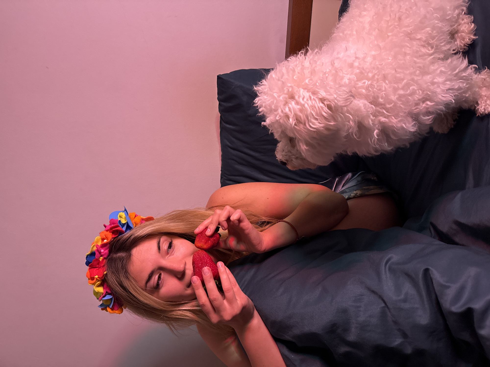 An indoor scene, set in Budva, Montenegro, features a young woman and a white fluffy dog on a dark blue-grey bed or couch. The woman, with long blonde hair, is wearing a vibrant, multi-colored floral headband and lies on her side, looking towards the viewer. She holds two large, red strawberries in her hands, one near her mouth and the other by her nose, appearing contemplative or playful.
A small, white, curly-haired dog, possibly a Bichon Frise, is positioned in the upper right, looking down towards the woman and the strawberries with apparent curiosity. The bedding is dark and appears to be made of a smooth, possibly satin, fabric. The background wall is a plain, light pink. The scene is illuminated by a warm, pinkish-red artificial light, casting a soft, rosy glow over the subjects and the immediate surroundings, suggesting an evening or nighttime setting. There is no visible text in the image.