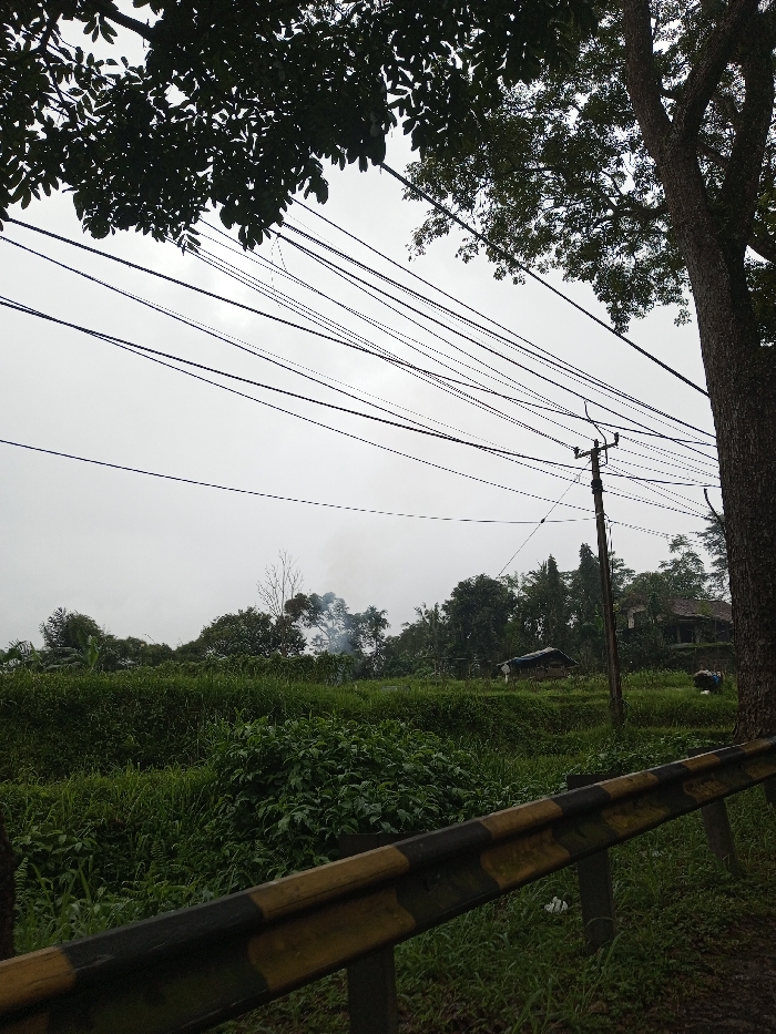 This image displays an outdoor, semi-rural landscape situated in the city of YonPhoogla, Bhutan, under an overcast, light grey sky. Multiple dark electrical or communication wires traverse the upper half of the frame diagonally. A large tree with dark green foliage is visible in the upper left, while a thick tree trunk occupies the far right edge. The mid-ground features an extensive area of lush green vegetation, including dense grasses and bushes. In the foreground, a black and yellow striped road barrier angles from the lower left to the mid-right. A wooden utility pole with cross-arms stands in the center-right, supporting several overhead lines. Beyond the immediate vegetation, a treeline is visible. To the left of the utility pole, a small, dark-roofed shack is partially discernible amidst the trees, with a larger, dark-roofed house appearing further right. A distinct plume of light-colored smoke rises from behind the trees in the mid-left distance, indicating a localized burning activity. No individuals or animals are present.
