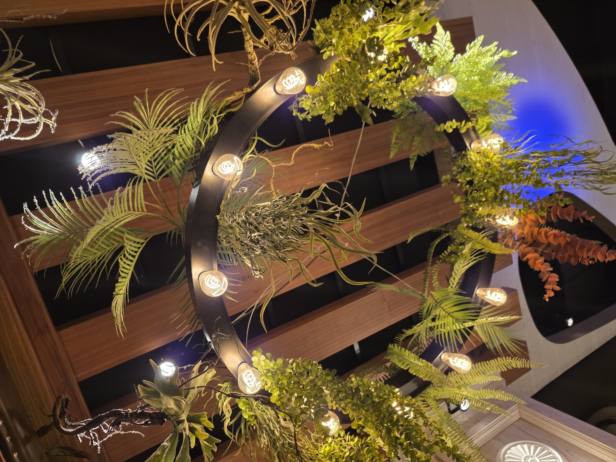 A low-angle shot depicts an illuminated circular lighting fixture adorned with an assortment of greenery, including ferns and palm leaves, suspended from a wooden slatted ceiling. The ring holds several vintage-style light bulbs that cast a warm glow. The arrangement is viewed from below, suggesting it's an indoor setting, possibly a restaurant or bar in Plovdiv, Bulgaria, given the request context. The backdrop includes dark, neutral tones with glimpses of the architectural details of the building, like curved moldings and decorative elements. No people are visible in the frame.