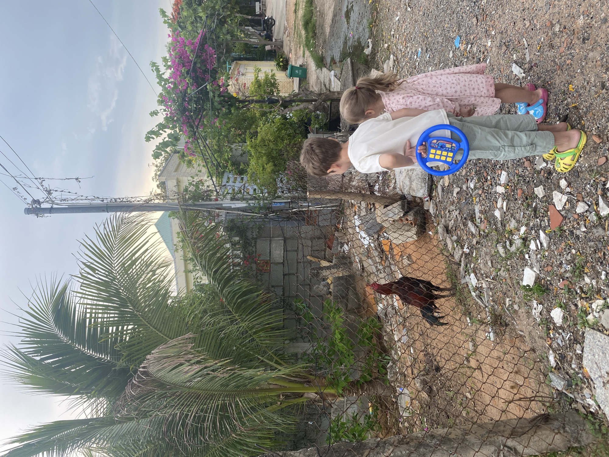 Two children, a boy and a girl, are looking through a wire fence at a rooster in Mũi Né, Vietnam. The boy is wearing a white shirt and light green pants, holding a blue toy steering wheel. The girl is wearing a pink patterned dress. The fence is rusty and damaged. Behind the fence is a patch of bare earth with scattered trash and a large rooster. Behind the children is a gravel-covered area with trash. In the background, there are buildings, trees (including a palm tree and bougainvillea), and a street.