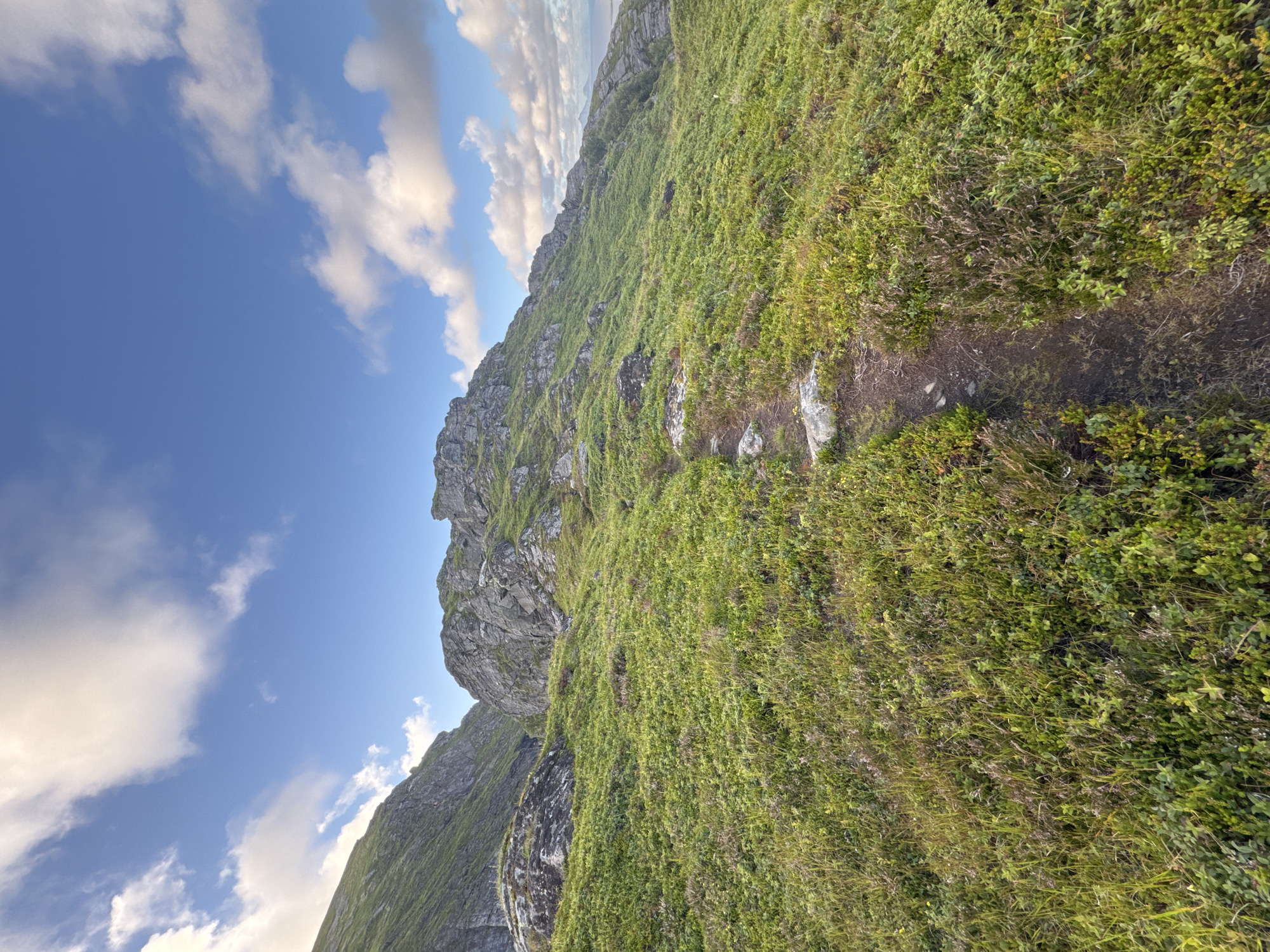 This is a low-angle, wide shot of a grassy, mountainous landscape in Lovund, Norway. A narrow dirt path with stepping stones winds up the left side of a green, grassy slope, leading towards rocky formations at the top of the hill. The sky is a bright blue with scattered white clouds. The mountains are covered in lush green grass and vegetation, with rocky outcrops visible. In the distance, a hint of the sea and land can be seen.