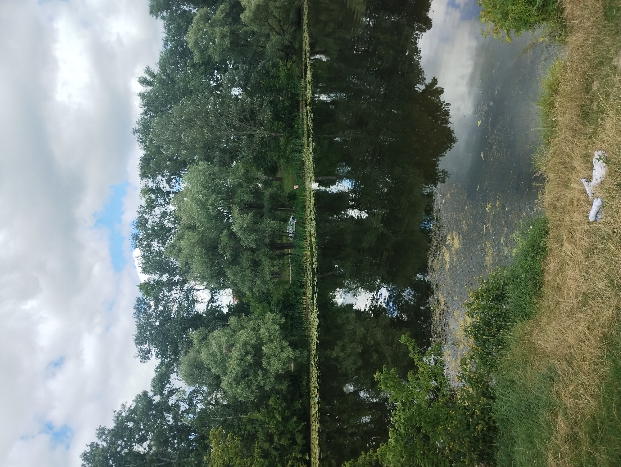 The image depicts a tranquil scene of a lake or river lined by a dense growth of trees and reeds. The water's surface is calm, reflecting the overcast sky and the surrounding foliage. Lily pads are scattered across the water, indicating a shallow or slow-moving body of water. On the far bank, several reeds stand upright, and a white vehicle is partially visible amongst the trees. The foreground consists of dry, golden grass and some green vegetation, suggesting a summer or early autumn setting. There are no people visible in the image. The overall impression is one of natural beauty and serenity.