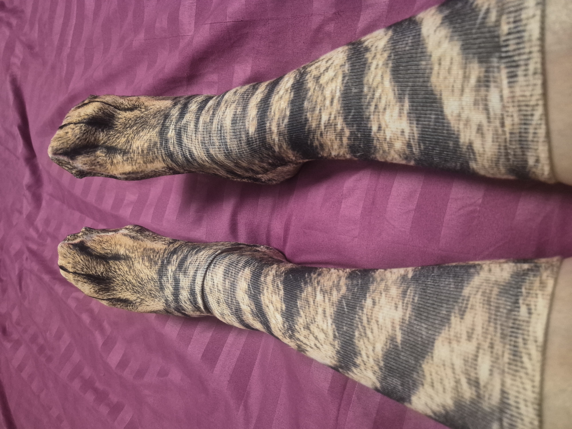 Two legs are lying on a burgundy striped sheet. The legs are covered in socks patterned to look like cat paws. The feet are close to the viewer, while the tops of the legs are further away.