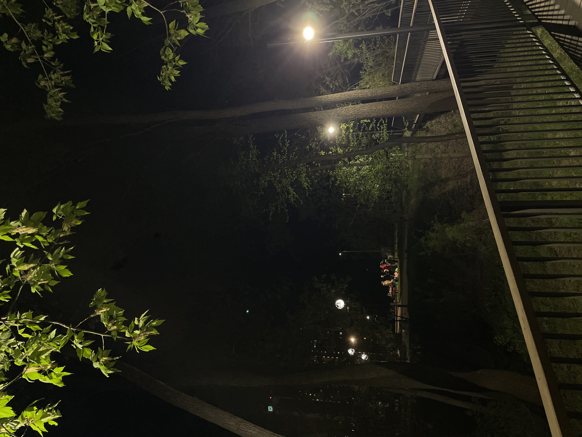 The image depicts a nighttime scene in what appears to be a park or natural area, possibly in Чернышевка, Russia, based on the prompt. Several street lights illuminate a path or walkway lined with trees. A group of people is visible further down the path, likely engaged in a social gathering or simply passing through. To the right of the frame, a portion of a metal structure, possibly a pedestrian bridge or elevated walkway, is visible. The overall environment suggests an urban park setting at night.