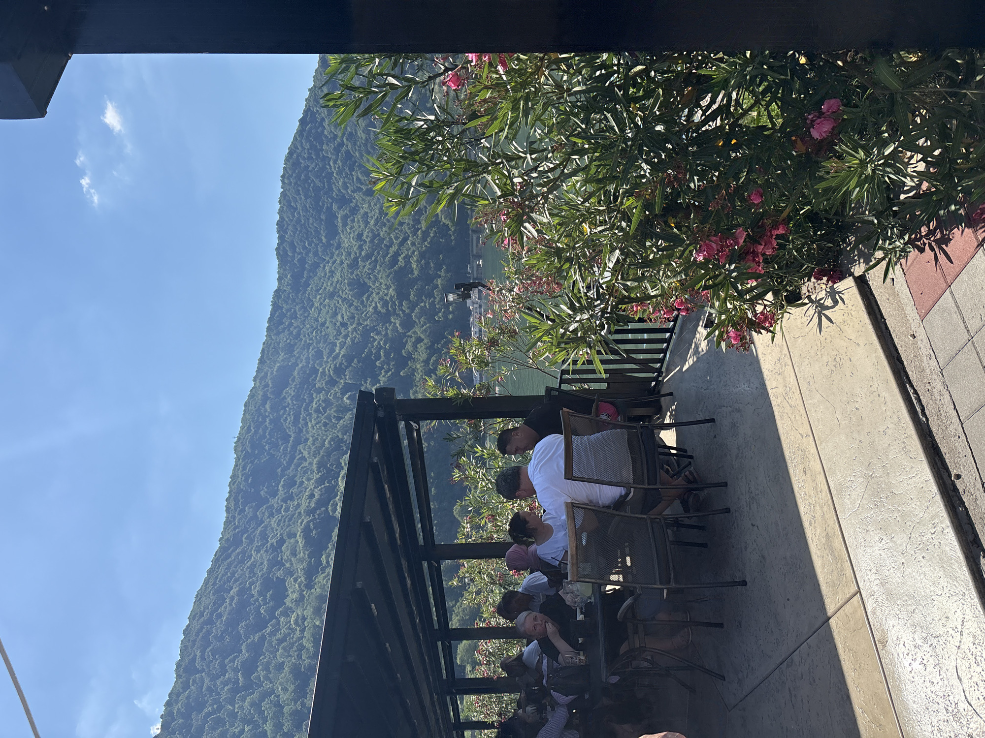 This is a photograph of an outdoor seating area at a restaurant overlooking a body of water and a heavily wooded mountain range. In the foreground, a dark, wooden overhang covers several tables and chairs where a group of people are seated and interacting. The people are casually dressed and appear to be enjoying a meal or drinks. To the right of the seating area, lush green foliage with pink flowers is in bloom, partially obscuring the view of the water and mountains. The water, likely a river or lake, is calm and reflects the bright, blue sky. The mountain in the background is covered in dense, green trees, indicating a natural, possibly rural, setting. The overall atmosphere suggests a pleasant, sunny day at a scenic waterfront restaurant. The location is Divic, Bosnia and Herzegovina.