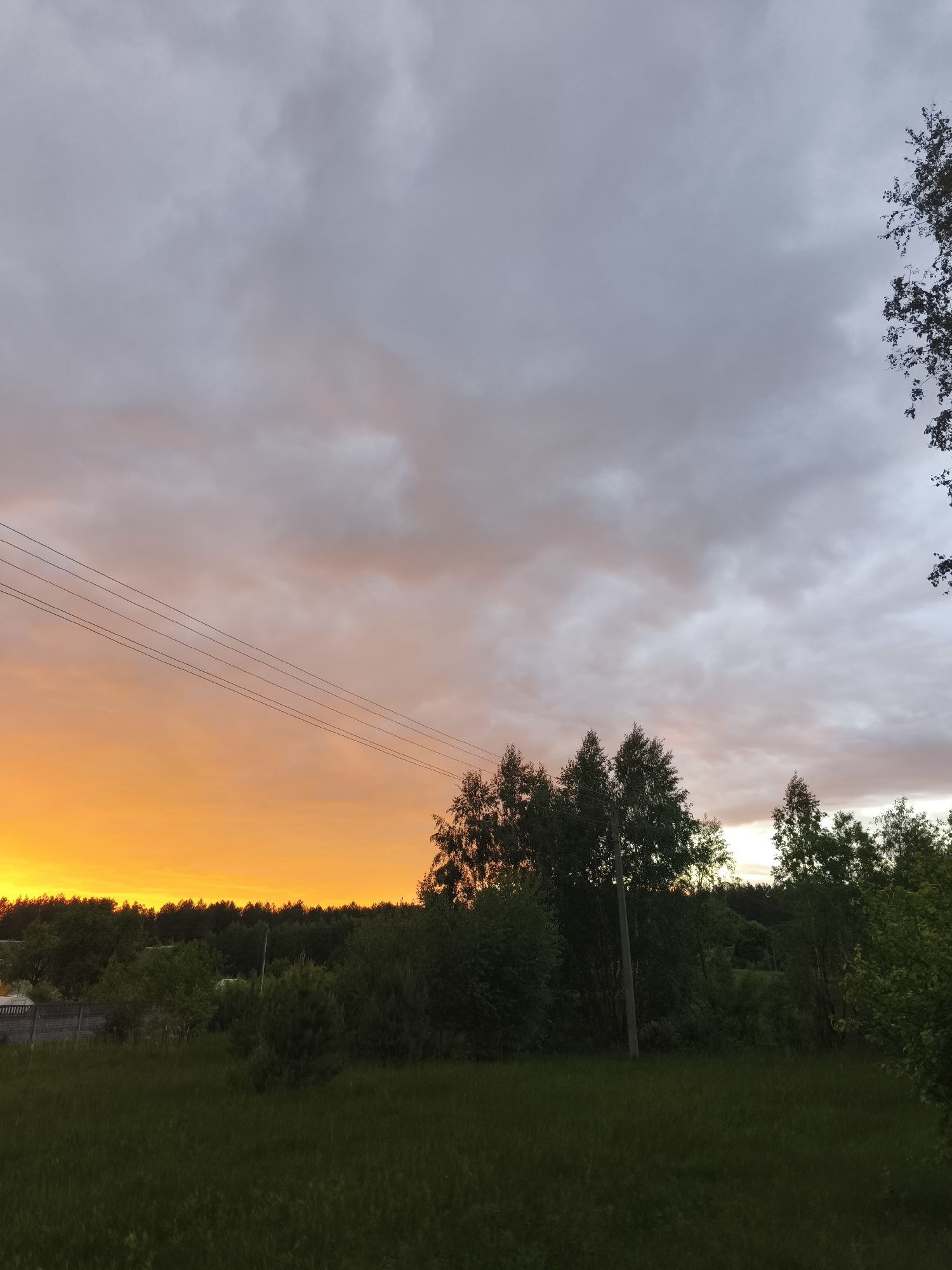 The image depicts a landscape at sunset or sunrise in Парэчча, Belarus. In the foreground, there is a field of green grass. Behind the field, there's a row of trees and bushes that partially obscure a few buildings. Power lines stretch across the left side of the frame. The sky is a mix of colors, with a bright orange glow near the horizon transitioning to gray and cloudy above.
