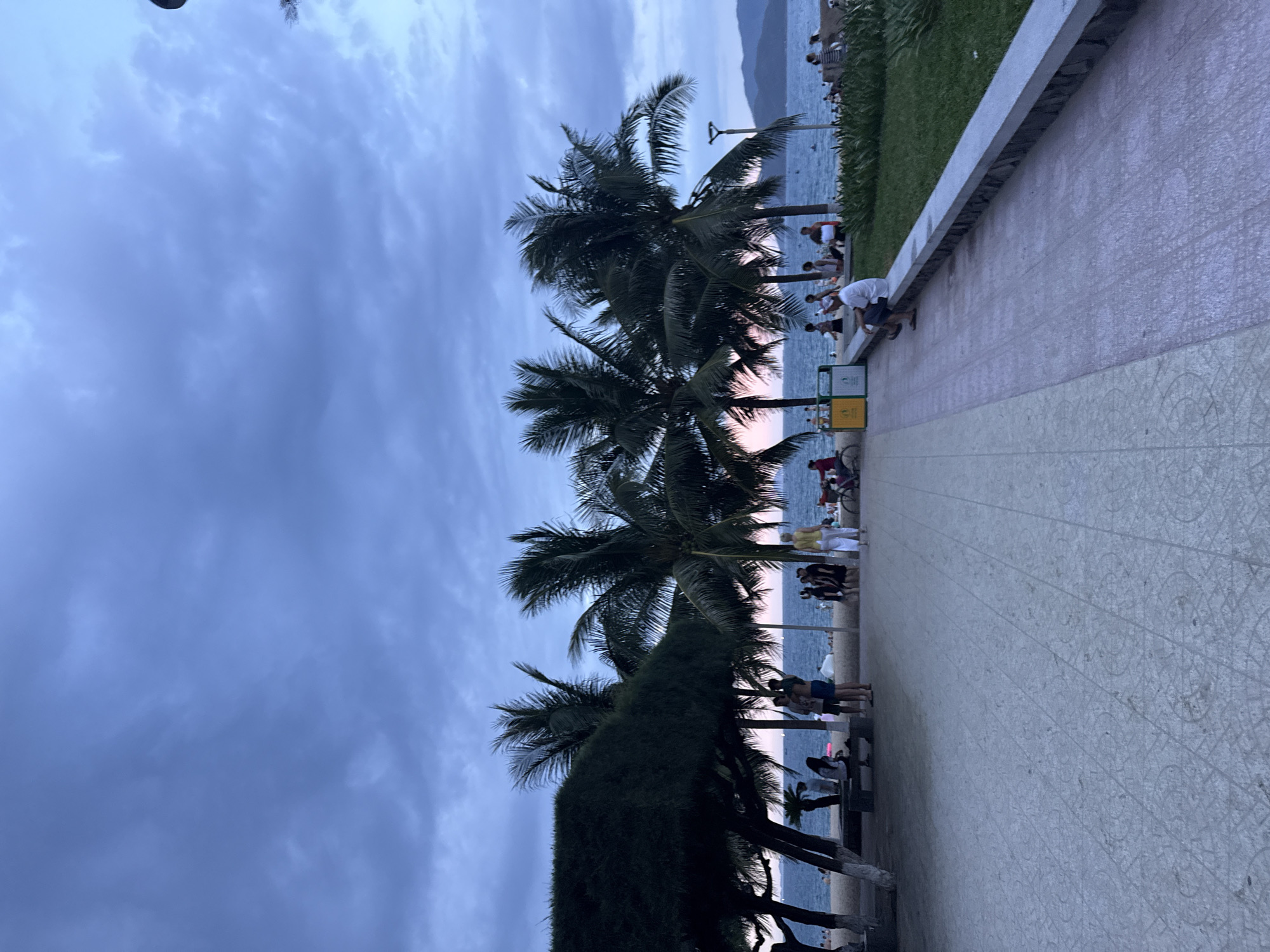 This picture was taken in Nha Trang Ward, Vietnam. It is a view of a public paved walkway bordering a beach. People are standing, sitting, and walking along the walkway. Palm trees are visible in the image. The sky is overcast with a violet hue.