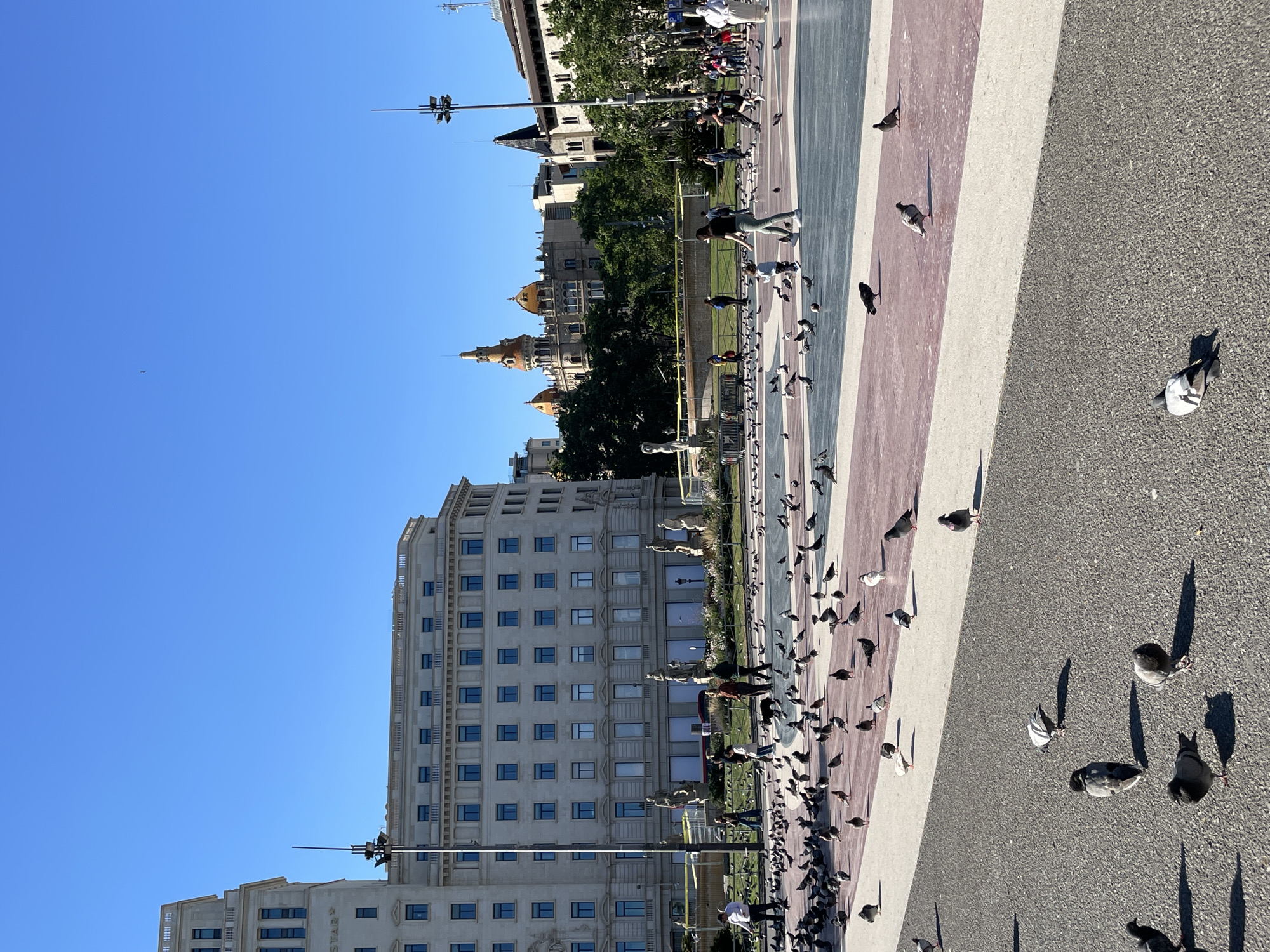 The image shows a view of Plaça de Catalunya, a large square in central Barcelona, Spain. The camera is angled upwards. The ground level of the square is divided into sections with different surface textures and colors, including gray asphalt and sections with red, white, and gray stripes. The square is populated by a large number of pigeons. Some people are walking through the square, interacting with the pigeons. Behind the square are several buildings, including a large white building with many windows and a historic building with golden domes. The sky is clear and blue. Streetlights are visible along the edge of the square.