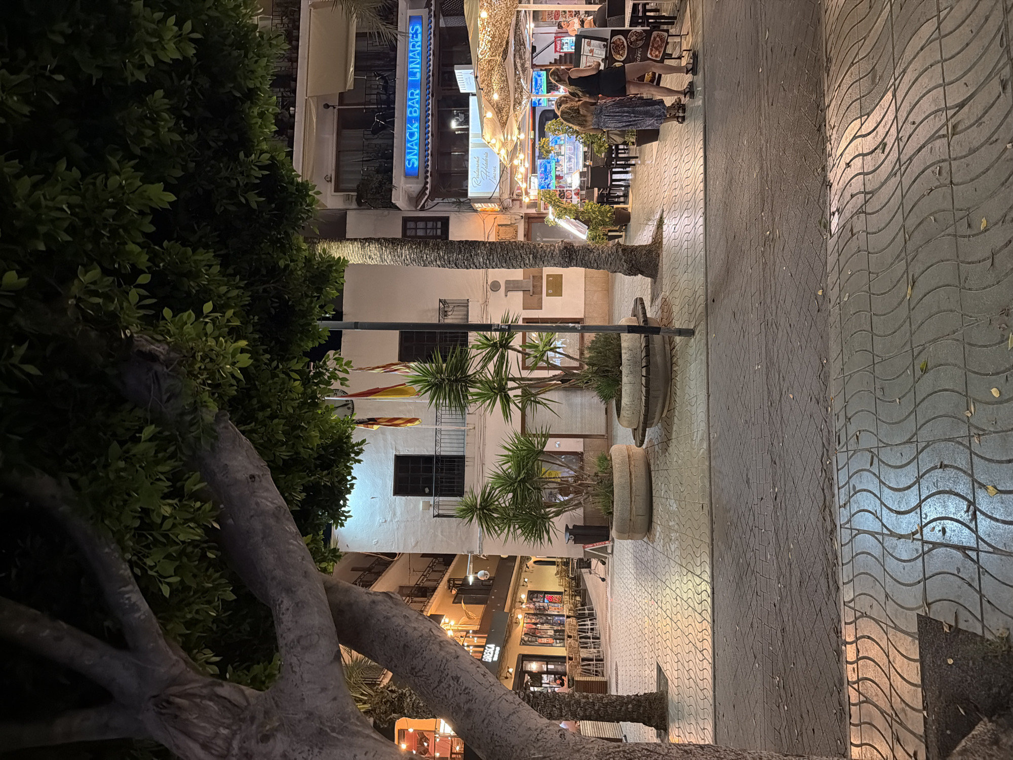This image depicts a nighttime scene on a street in Sant Antoni De Portmany, Spain, likely a pedestrian walkway adjacent to a commercial area. In the foreground, a large tree trunk and branches dominate the left side, casting shadows across the patterned pavement. The pavement itself is composed of wavy, interlocking tiles, with a darker section of larger rectangular stones to the right.
Further into the scene, a white building with a dark-paned balcony stands prominently. Flags, one appearing to be the Catalan flag, are attached to the building. In front of this building, two large concrete planters hold spiky plants, likely yucca.
To the right of the white building, a restaurant or bar area is visible, illuminated by string lights and covered by a canopy. Tables and chairs are set up outside, with several people seated or standing. Two women are the most clearly visible individuals in this area, standing near a menu board. Another person, possibly an employee, is seen behind a counter or serving area.
Further down the street, more buildings with balconies and illuminated windows suggest shops and residences. A neon blue sign above one establishment reads "SNACK BAR LINARES". The overall atmosphere is that of a lively evening promenade in a Mediterranean town.