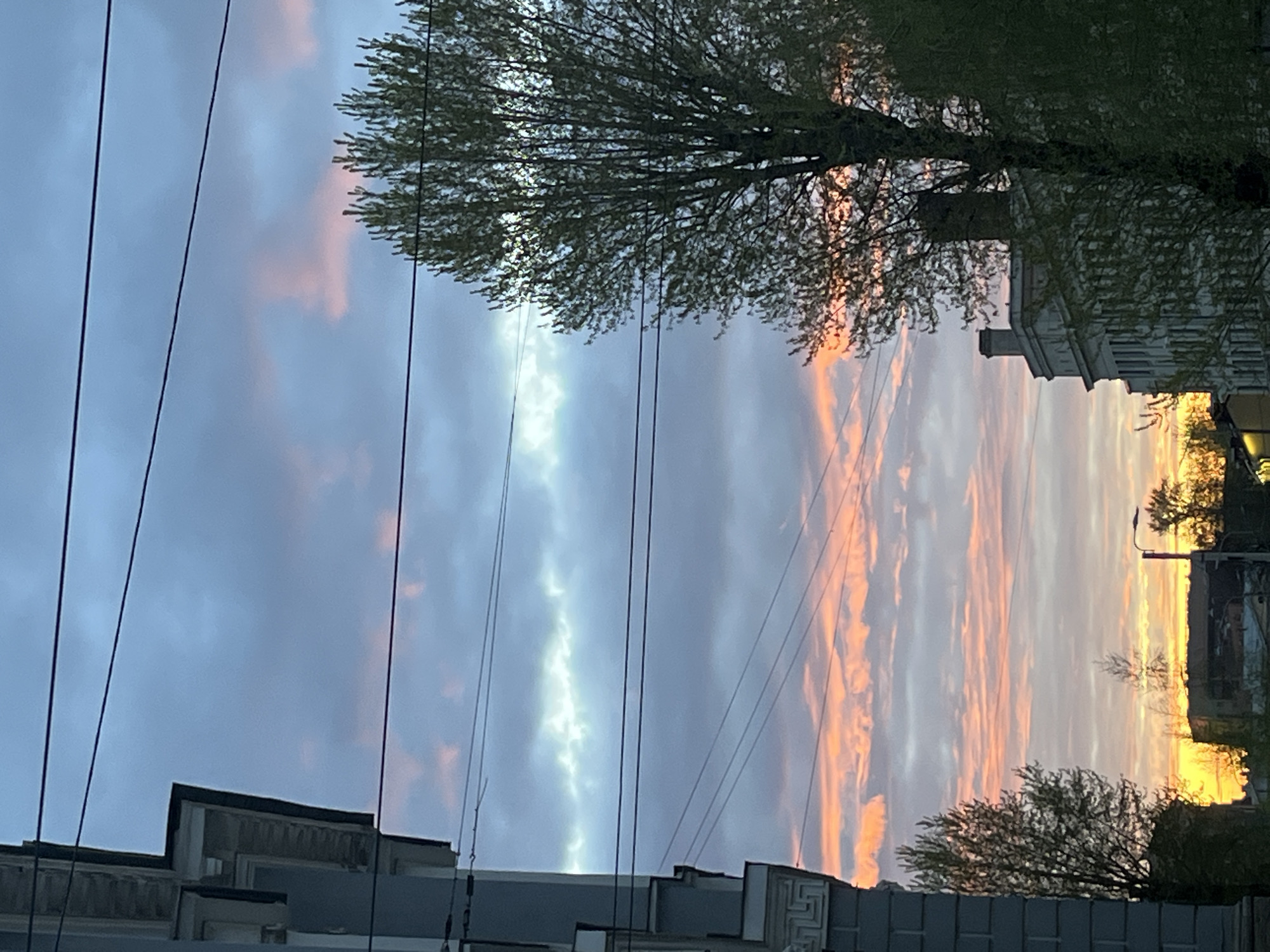 The image depicts a sunset over a city landscape, possibly Saint Petersburg, Russia. Utility wires run across the sky. The sky is filled with varying cloud formations, with orange and peach hues near the horizon, transitioning to gray and blue towards the upper part of the frame. Tree branches and foliage are visible in the foreground, framing the scene. Below, indistinct buildings and rooftop structures are visible. The image is taken from a low angle, looking upwards.
