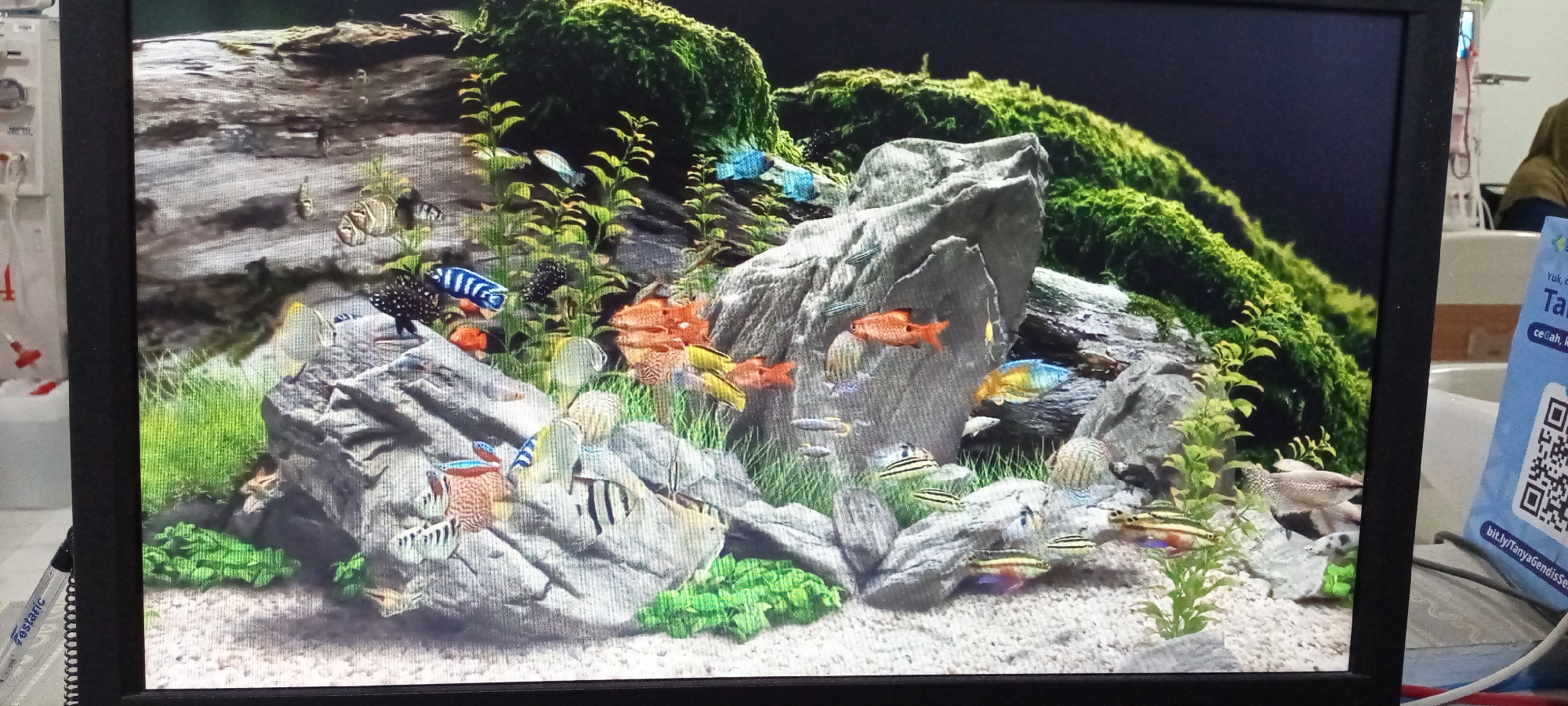 The image shows a monitor displaying an aquarium scene. The aquarium has a rocky substrate and is densely populated with various species of fish. There are also green plants and moss-covered rocks within the aquarium. The monitor appears to be located in an office setting, with a desk, medical equipment, and a person in a hijab partially visible in the background. A pamphlet with a QR code and Indonesian text is on the desk. The image location is Lhokseumawe, Indonesia.