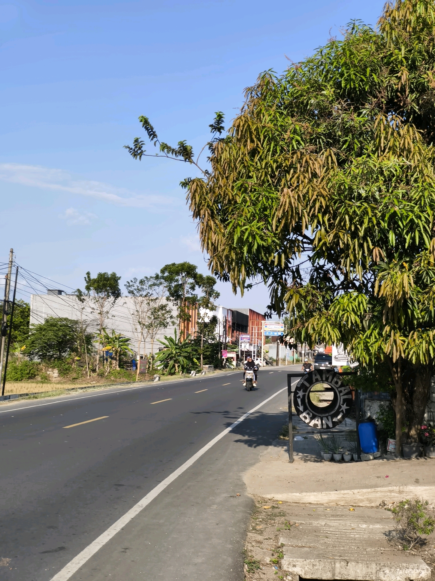 The image depicts a street scene in Cibuluh, Indonesia, on a clear, sunny day. The road, which appears to be a main thoroughfare, is paved and marked with yellow and white lines. On the left side of the road, there are several buildings, including a long, light-colored structure with a modern facade. Scattered trees and foliage are visible between the buildings and the road. Electrical wires stretch across the scene, supported by utility poles.
A large tree with dense green and brownish-orange leaves dominates the right side of the frame, partially obscuring the sky and the road. In front of this tree, a circular metal sign with white text and star motifs is mounted on a dark metal frame. Below the sign, several potted plants are arranged, along with a blue plastic drum.
Two motorcycles are present on the road. One is closer to the foreground, ridden by a person wearing a black jacket and white helmet. Further down the road, another motorcycle is being ridden by a person wearing a black shirt. A dark-colored car is also visible in the distance. The foreground consists of a concrete sidewalk and a drainage ditch. The overall impression is of a busy, somewhat rural or suburban street in Indonesia.