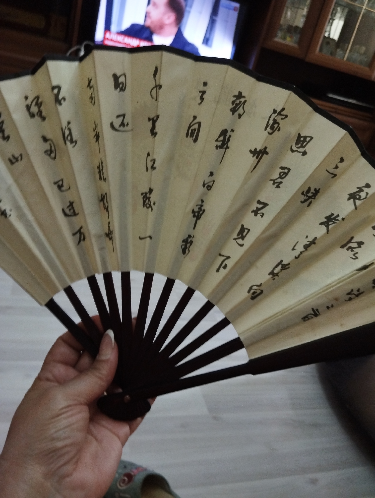 A hand is holding a partially opened fan with Chinese calligraphy on it. The fan is made of a light-colored material and has black lines on it. The fan is held in front of a television screen that is displaying an image of a man in a suit. The background appears to be a living room with wooden furniture and a wooden floor. The lighting in the room is dim. The location is the city of Kamensk-Shakhtinsky, Russia.