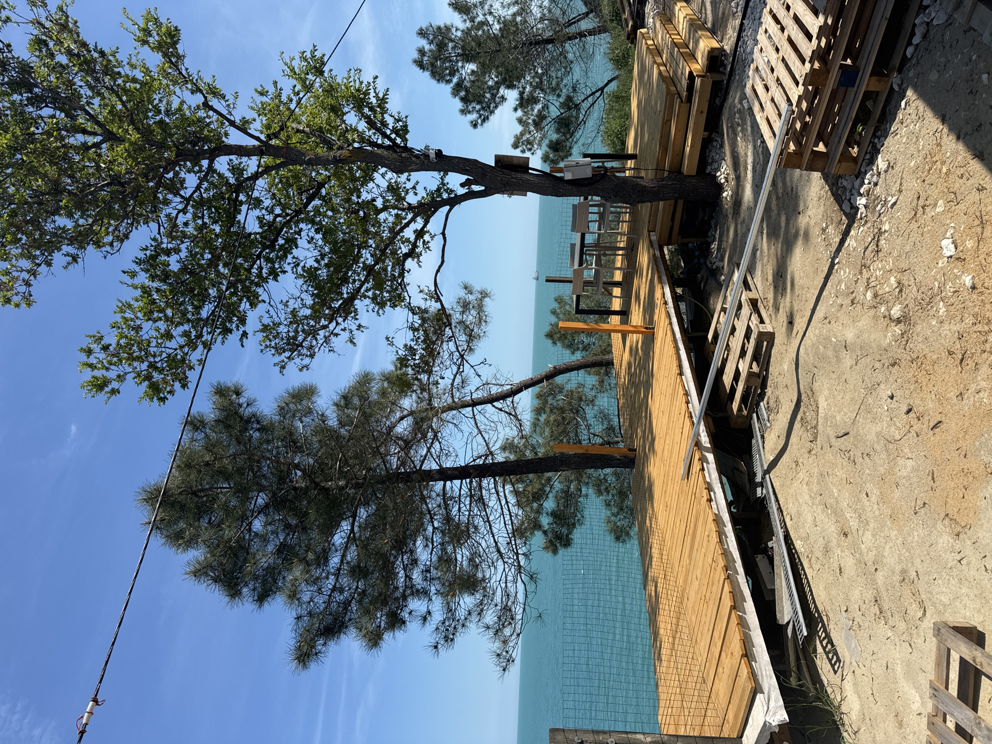 The image depicts a coastal scene in Varna, Bulgaria, featuring a wooden deck structure overlooking the sea. The deck appears to be under construction, with visible wooden planks, a wire grid possibly for reinforcement, and adjacent stacked wooden pallets. Trees are integrated into the design, with trunks emerging through the deck. The sea is visible beyond the deck, under a clear blue sky. To the right of the deck is a dirt and gravel area with construction materials. Some seating and structures are located on the deck area.