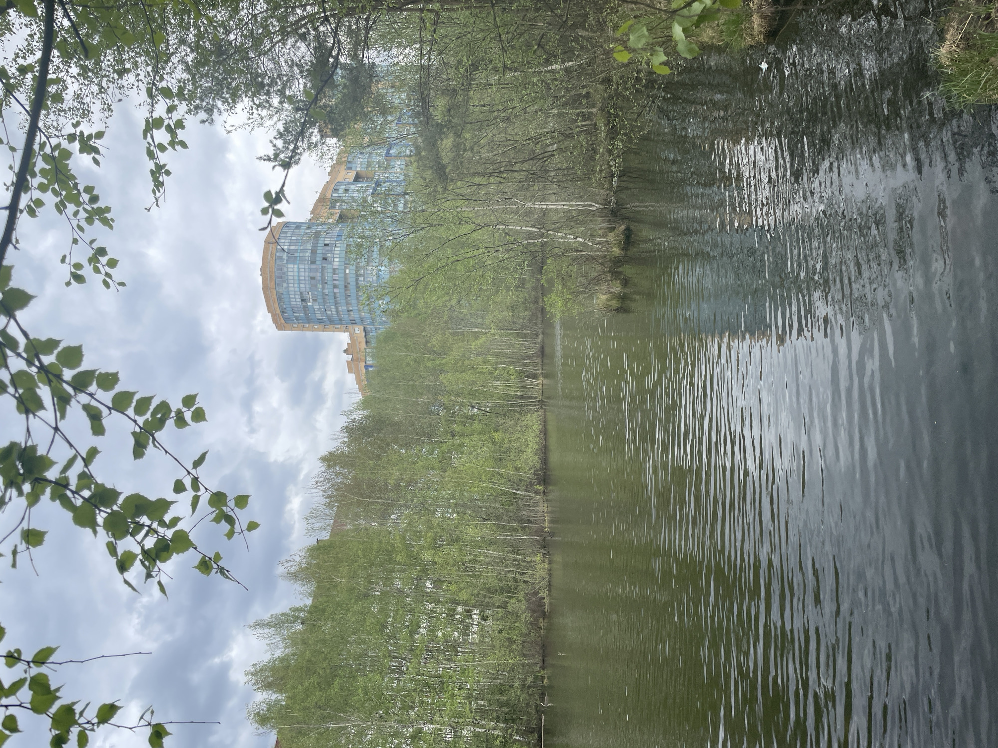 The image shows a body of water reflecting a modern building with curved blue glass facades under a cloudy sky. A row of trees, likely birch, separates the water from the building, and their reflections are also visible in the water. Green foliage is visible in the foreground. The location is Saint Petersburg, Russia.