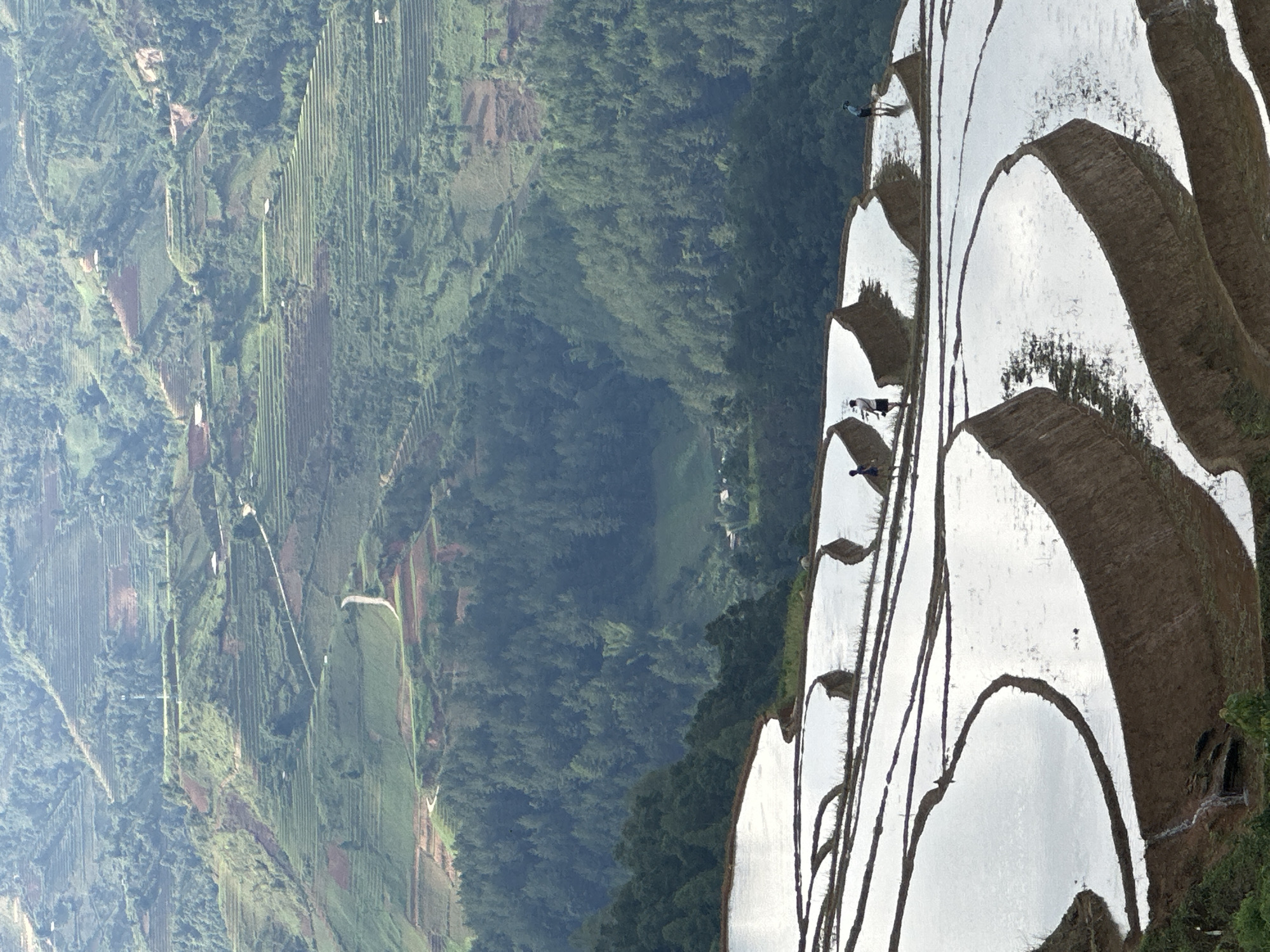 This vertical image depicts a breathtaking landscape of terraced rice fields in a mountainous region, specifically Lao Chai, Vietnam. The foreground is dominated by meticulously carved rice terraces, currently filled with water, creating mirror-like reflections of the bright sky above. These water-filled paddies form intricate, flowing patterns across the hillside.
Several small human figures are discernible on or near these water-filled terraces, suggesting activity related to farming, such as preparing the fields or walking along the narrow embankments. Their scale emphasizes the vastness of the terraced landscape.
Beyond the immediate foreground, the view extends into a deep valley and across numerous rolling hills and mountains. These distant slopes are also extensively terraced, although these terraces appear greener, indicating different stages of crop growth or possibly dry land cultivation. Lush green forest and vegetation cover the uncultivated areas of the mountainsides, providing a rich, verdant backdrop.
The scene is brightly illuminated, indicating clear daytime weather, possibly morning or afternoon, which allows for crisp reflections in the water and good visibility of the distant landscape. The scale and complexity of the terracing highlight significant human ingenuity and effort in shaping the environment for agriculture. There is no visible text in the image.
