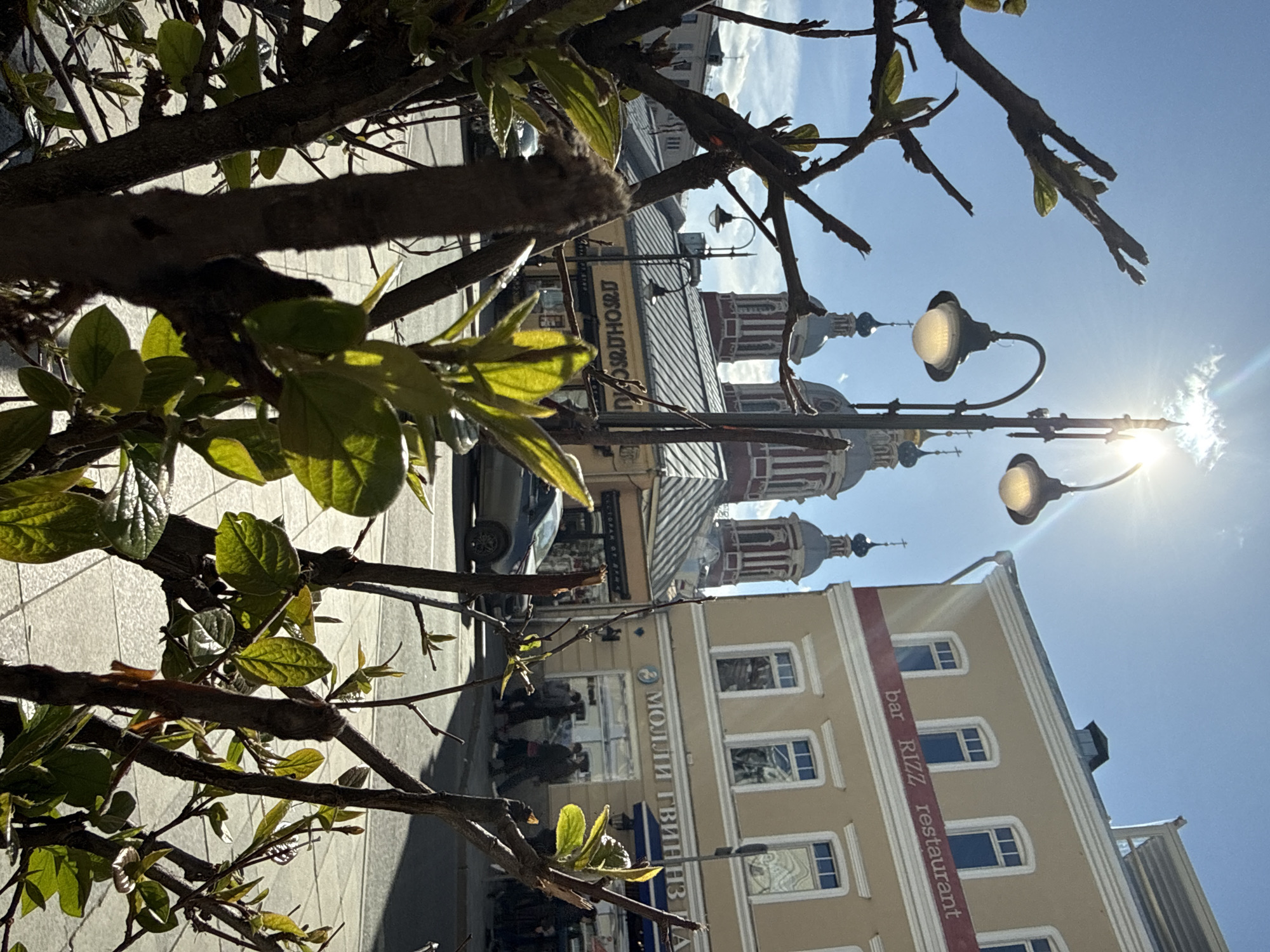 The image shows a street scene in Moscow, Russia, with a tree branch and leaves in the foreground partially obstructing the view. A light-colored building with white-framed windows and a red banner reading "bar RIZZ restaurant" is visible on the right side of the frame. Further in the background, there's another building with architectural details and possibly a church dome structure. People are walking near a storefront with a sign written in Russian. A car is parked on the street. The sun is shining brightly in the sky.