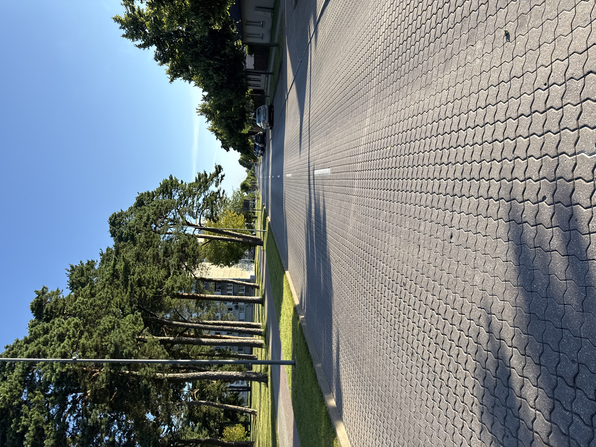 The image shows a street paved with interlocking concrete pavers in Ventspils, Latvia. The street runs straight into the distance, lined by trees on both sides. On the left, there are tall pine trees and a multi-story apartment building in the background, with a grassy area and a sidewalk. On the right, there are smaller deciduous trees and residential houses. Several cars are parked along the street, and there is a white line painted down the center of the road. The sky is clear and blue, and the sun is casting long shadows across the pavement. The scene depicts a quiet, residential street on a sunny day.