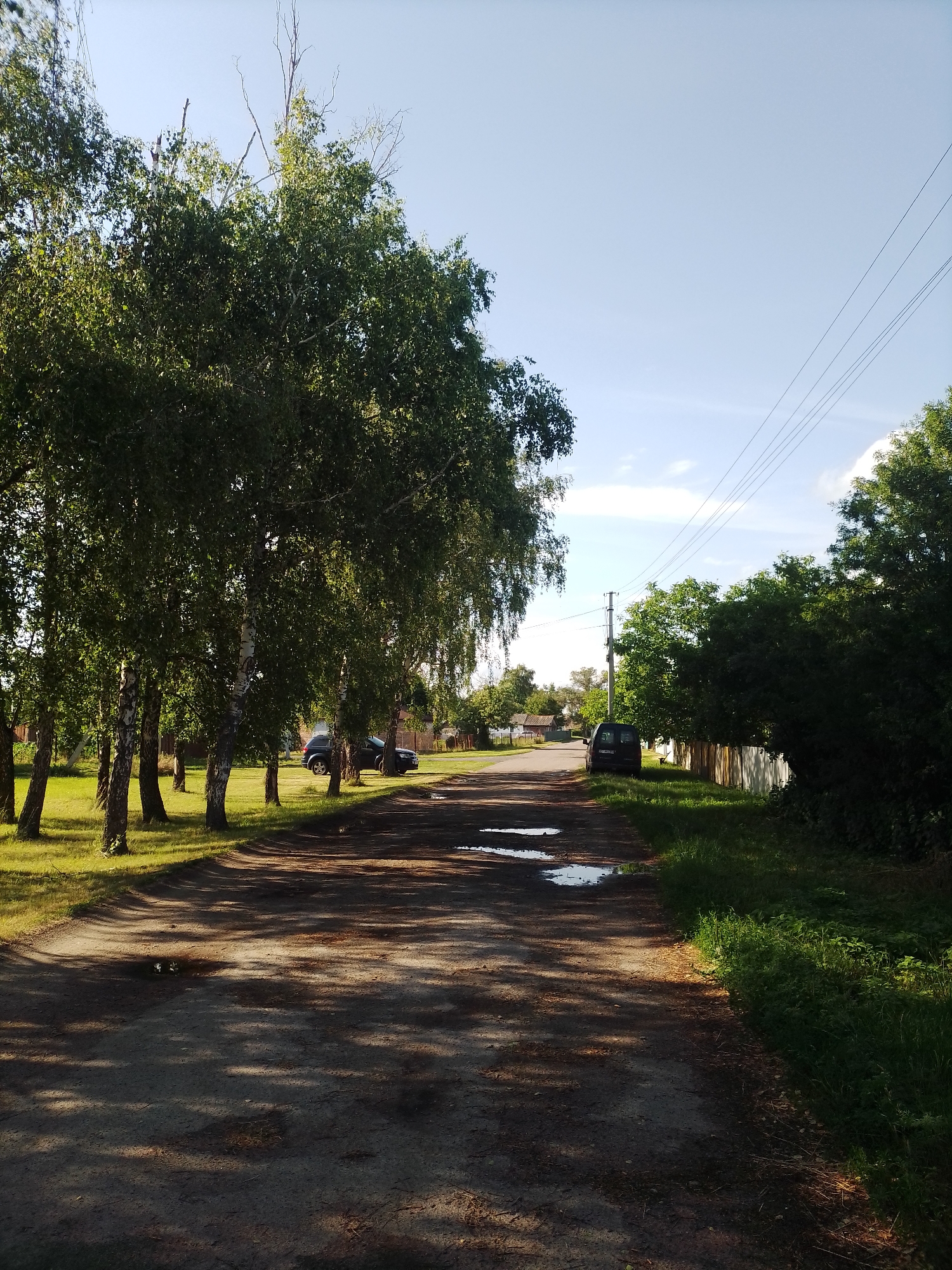 The image depicts a dirt road in a rural setting, possibly Ustyvytsia, Ukraine. The road is lined with trees on both sides, with a grove of birch trees on the left and denser foliage on the right. There are puddles of water on the road, suggesting recent rain or damp conditions.
Two dark-colored vehicles are visible on the side of the road, one further down the road to the right, and another parked among the trees on the left. In the background, houses with visible roofs and fences indicate a residential area. Overhead, power lines stretch across the sky, supported by a utility pole.
The scene appears to be set during the daytime, with a clear blue sky and some scattered clouds. The sunlight casts shadows from the trees onto the road, indicating a sunny day. The overall mood is tranquil and serene, characteristic of a quiet village or countryside. No people are visible in the image, and there is no visible text.